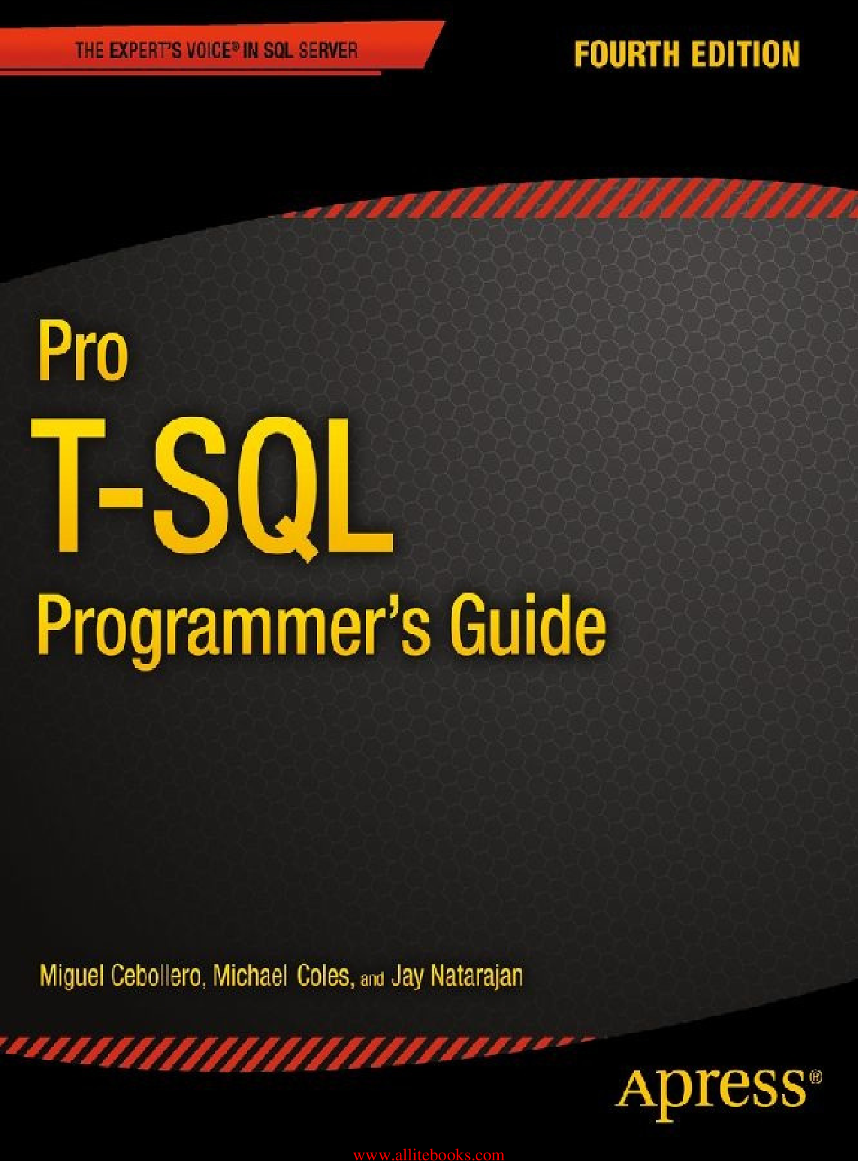 Pro T SQL Programmer S Guide