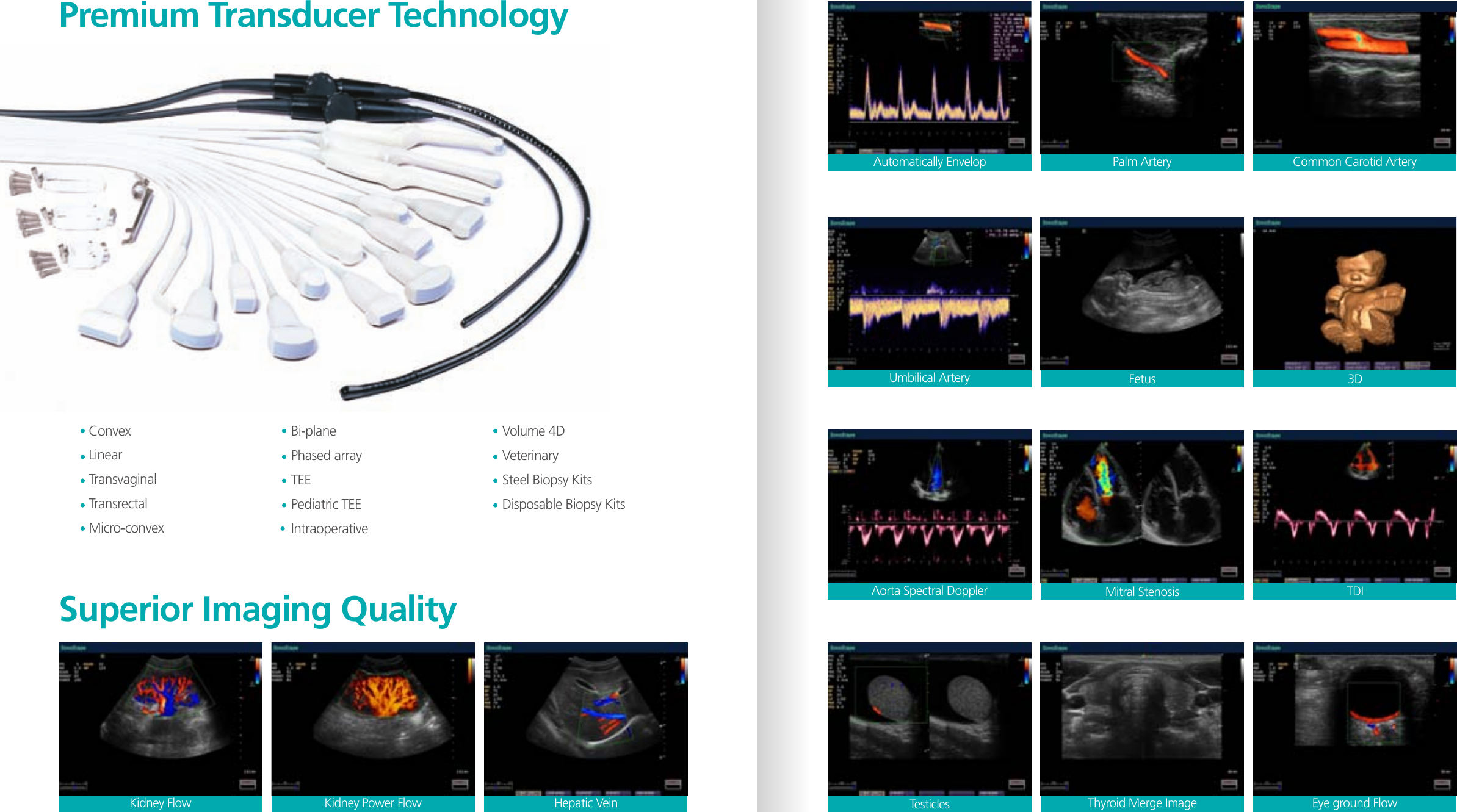 Page 4 of 4 - S20  700