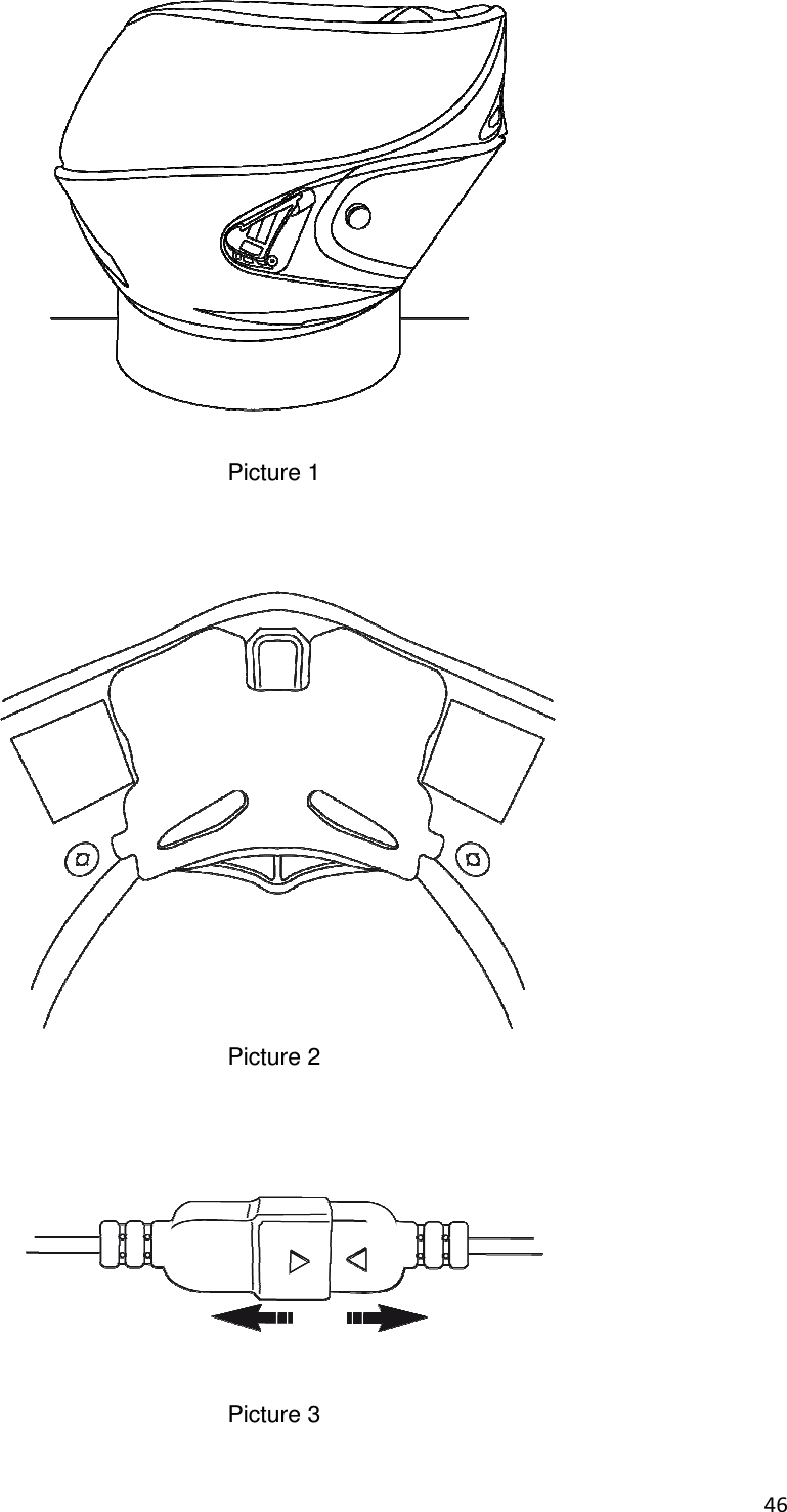   Picture 1    Picture 2     Picture 3   46   