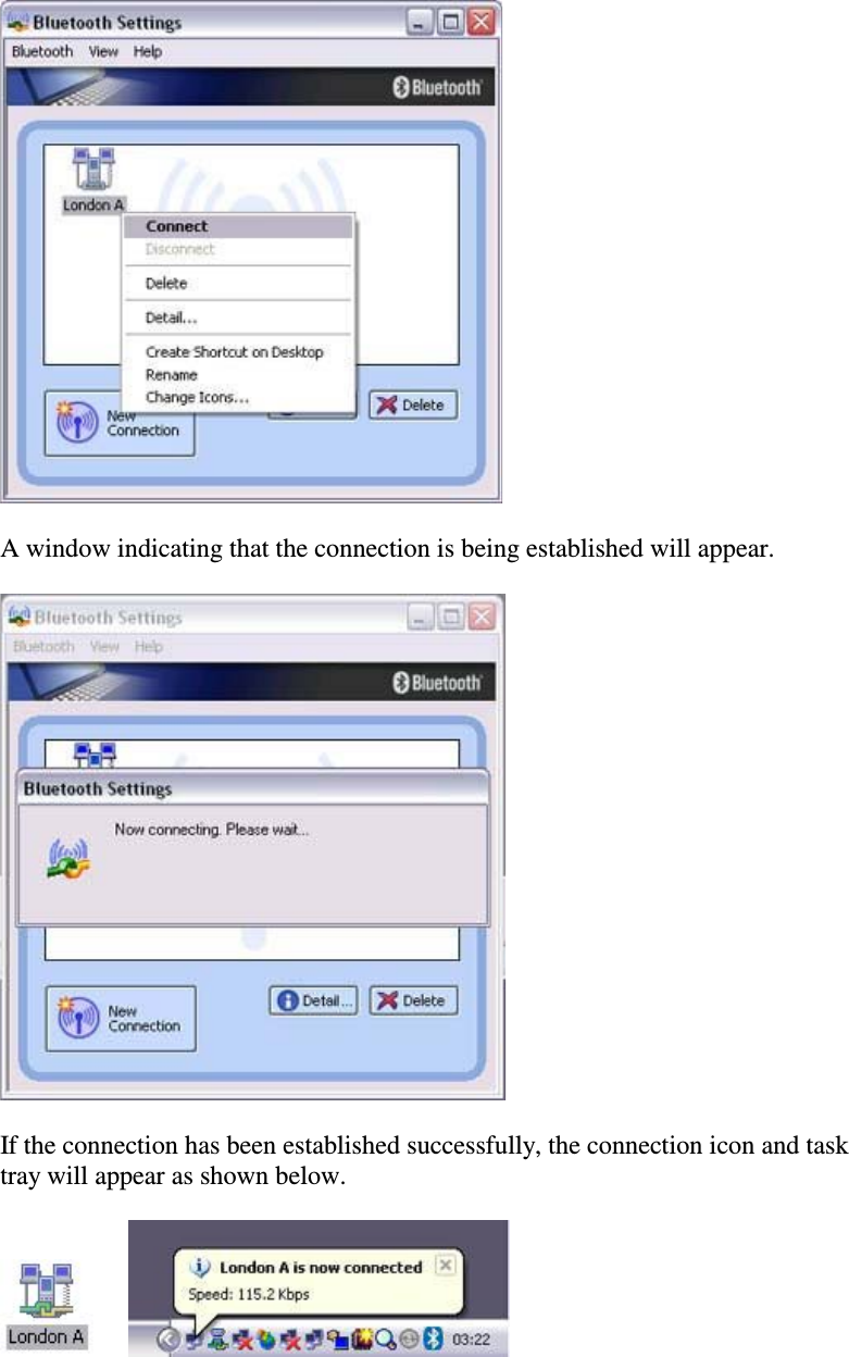 A window indicating that the connection is being established will appear.If the connection has been established successfully, the connection icon and tasktray will appear as shown below.