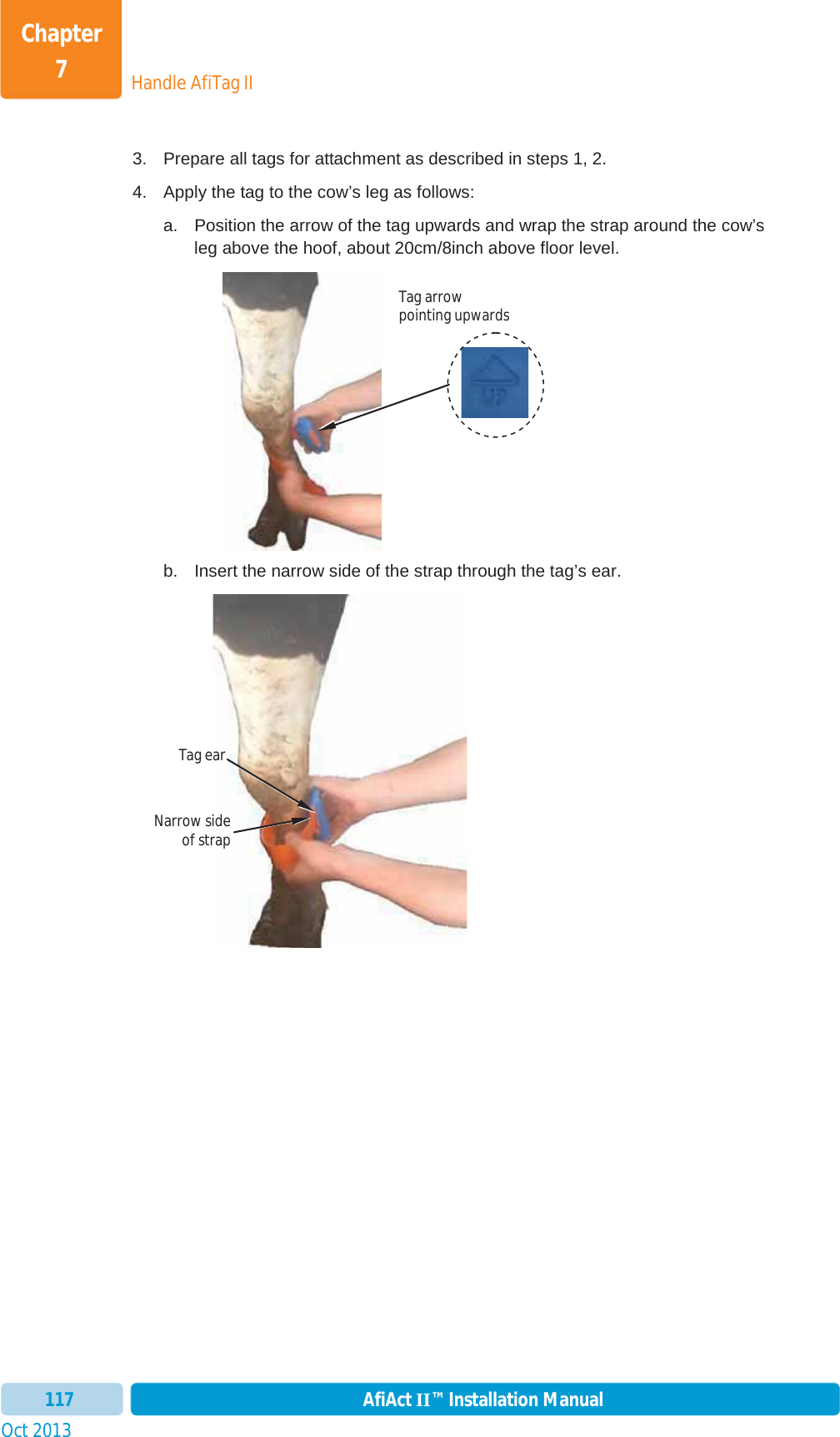 Handle AfiTag IIChapter 7Oct 2013 AfiAct II™ Installation Manual1173.  Prepare all tags for attachment as described in steps 1, 2.   4.  Apply the tag to the cow’s leg as follows: a.  Position the arrow of the tag upwards and wrap the strap around the cow’s leg above the hoof, about 20cm/8inch above floor level.  b.  Insert the narrow side of the strap through the tag’s ear. Tag arrow pointing upwards Narrow sideof strapTag ear