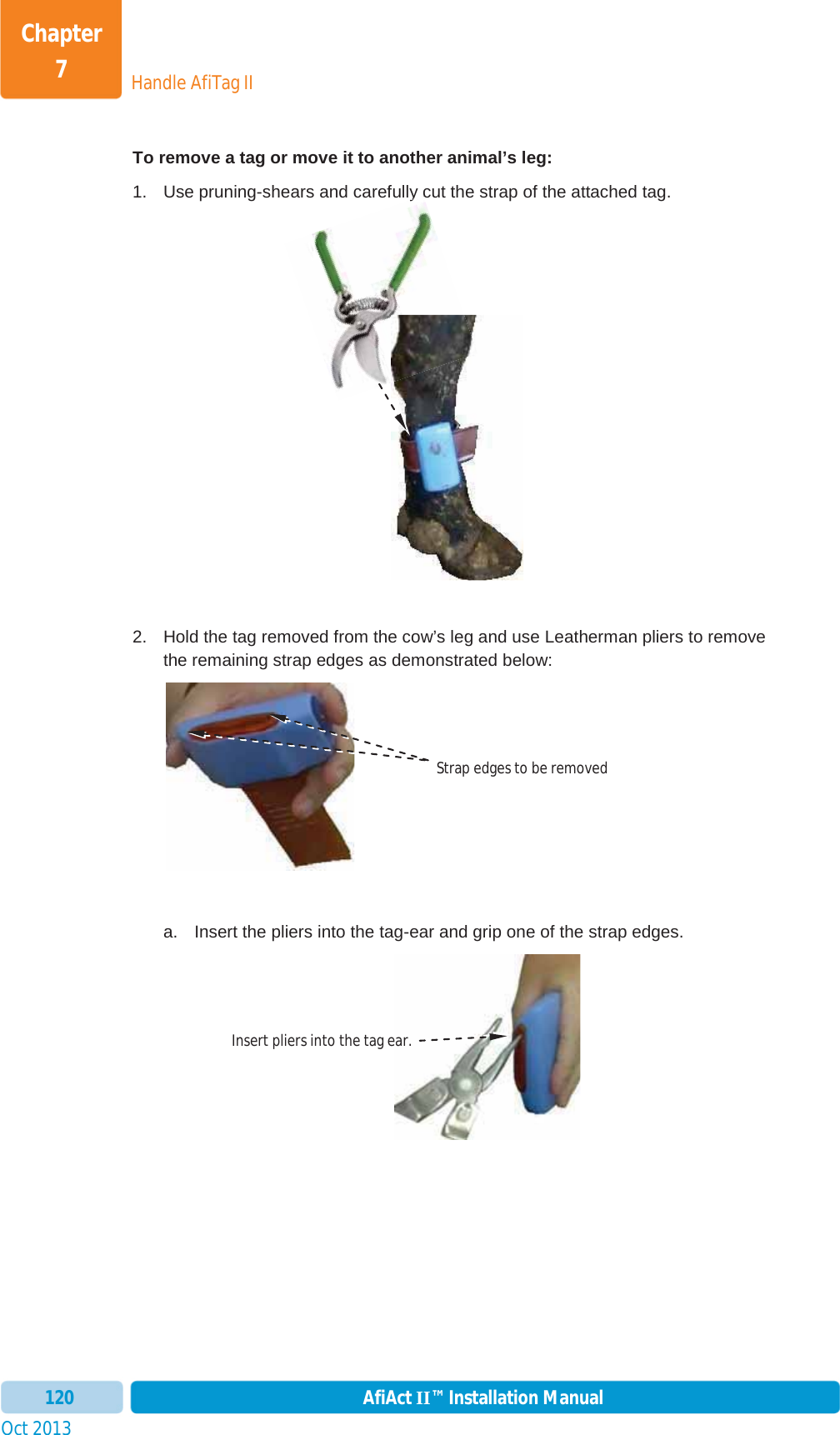 Handle AfiTag IIChapter 7Oct 2013 AfiAct II™ Installation Manual120To remove a tag or move it to another animal’s leg: 1.  Use pruning-shears and carefully cut the strap of the attached tag. 2.  Hold the tag removed from the cow’s leg and use Leatherman pliers to remove the remaining strap edges as demonstrated below:        a.  Insert the pliers into the tag-ear and grip one of the strap edges. ycInsert pliers into the tag ear. Strap edges to be removed 