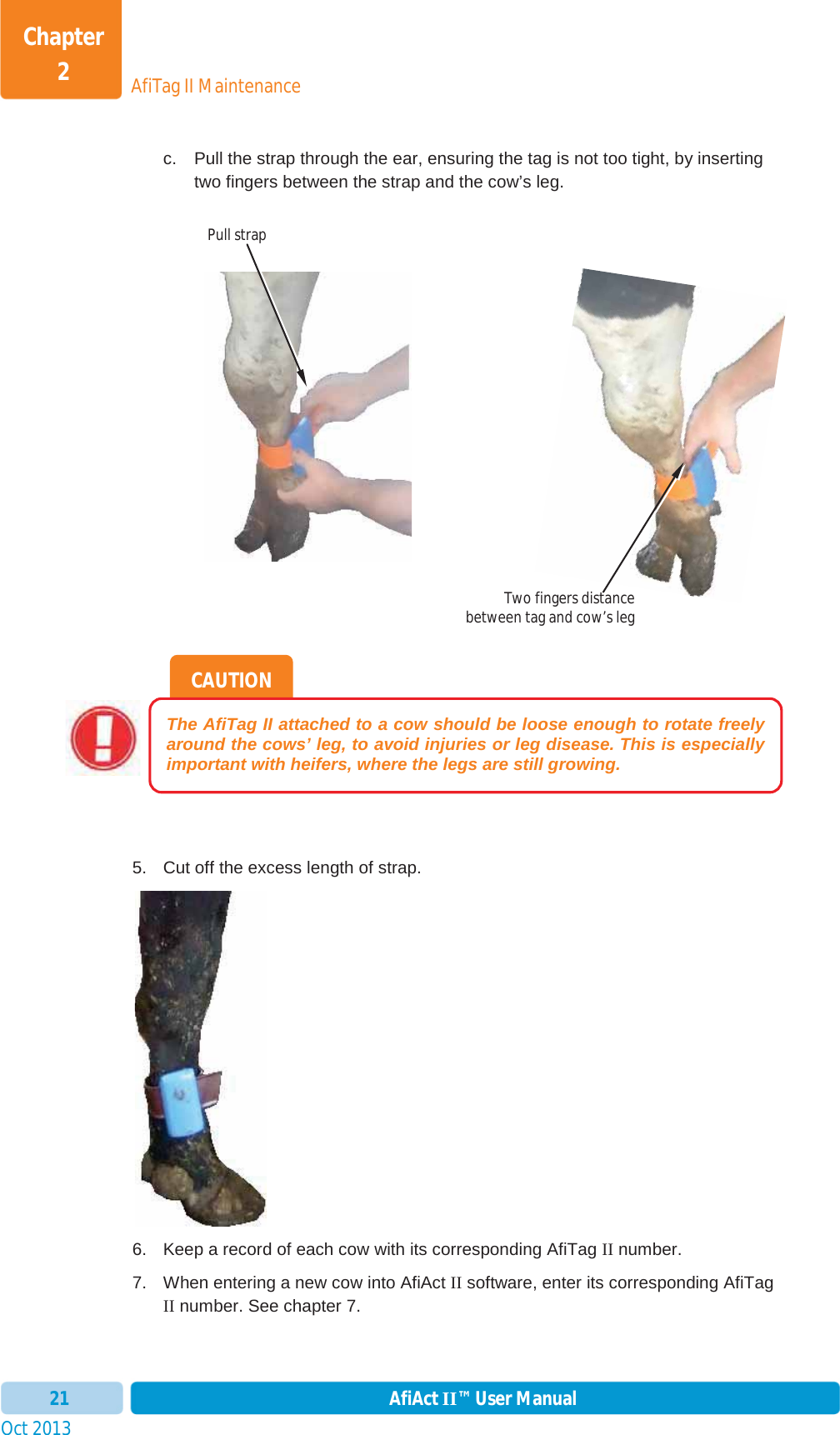 Oct 2013 AfiAct II™ User Manual21AfiTag II MaintenanceChapter 2c.  Pull the strap through the ear, ensuring the tag is not too tight, by inserting two fingers between the strap and the cow’s leg.        5.  Cut off the excess length of strap. 6.  Keep a record of each cow with its corresponding AfiTag II number. 7.  When entering a new cow into AfiAct II software, enter its corresponding AfiTag II number. See chapter  7. CAUTION The AfiTag II attached to a cow should be loose enough to rotate freely around the cows’ leg, to avoid injuries or leg disease. This is especially important with heifers, where the legs are still growing. Pull strap  Two fingers distancebetween tag and cow’s leg