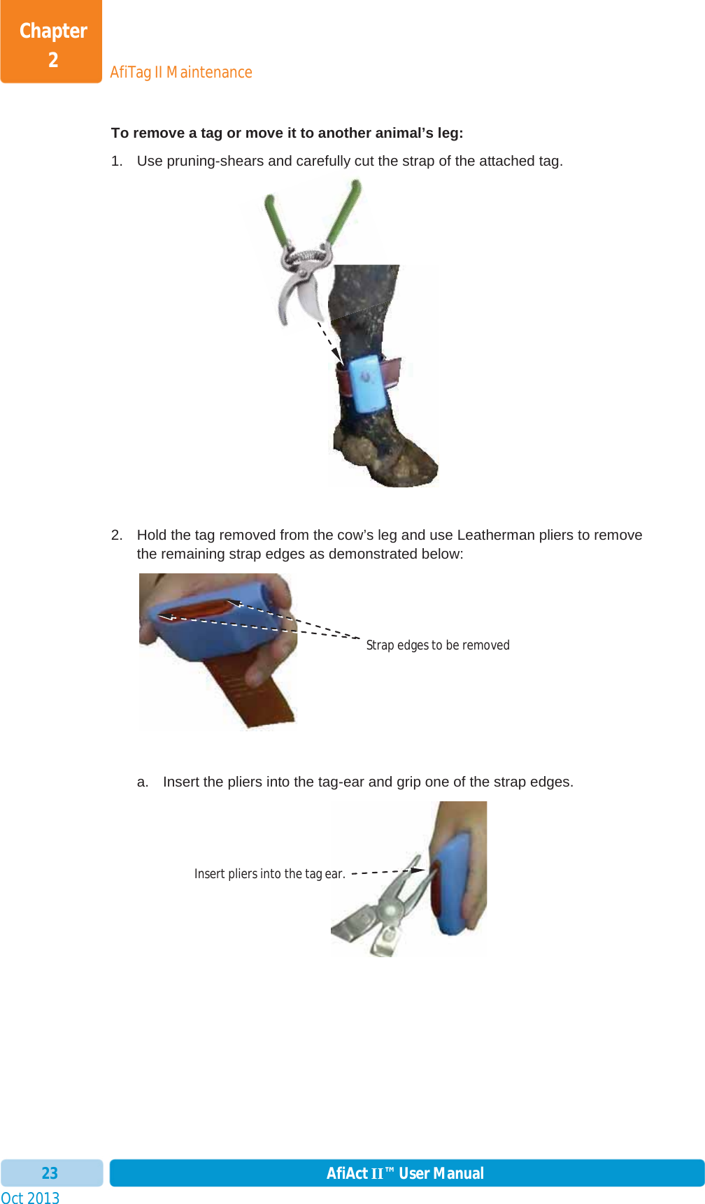 Oct 2013 AfiAct II™ User Manual23AfiTag II MaintenanceChapter 2To remove a tag or move it to another animal’s leg: 1.  Use pruning-shears and carefully cut the strap of the attached tag. 2.  Hold the tag removed from the cow’s leg and use Leatherman pliers to remove the remaining strap edges as demonstrated below:        a.  Insert the pliers into the tag-ear and grip one of the strap edges. ycStrap edges to be removed Insert pliers into the tag ear. 