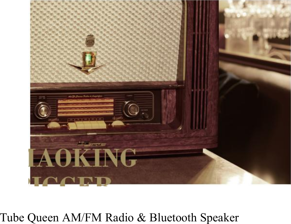 Tube Queen AM/FM Radio &amp; Bluetooth Speaker