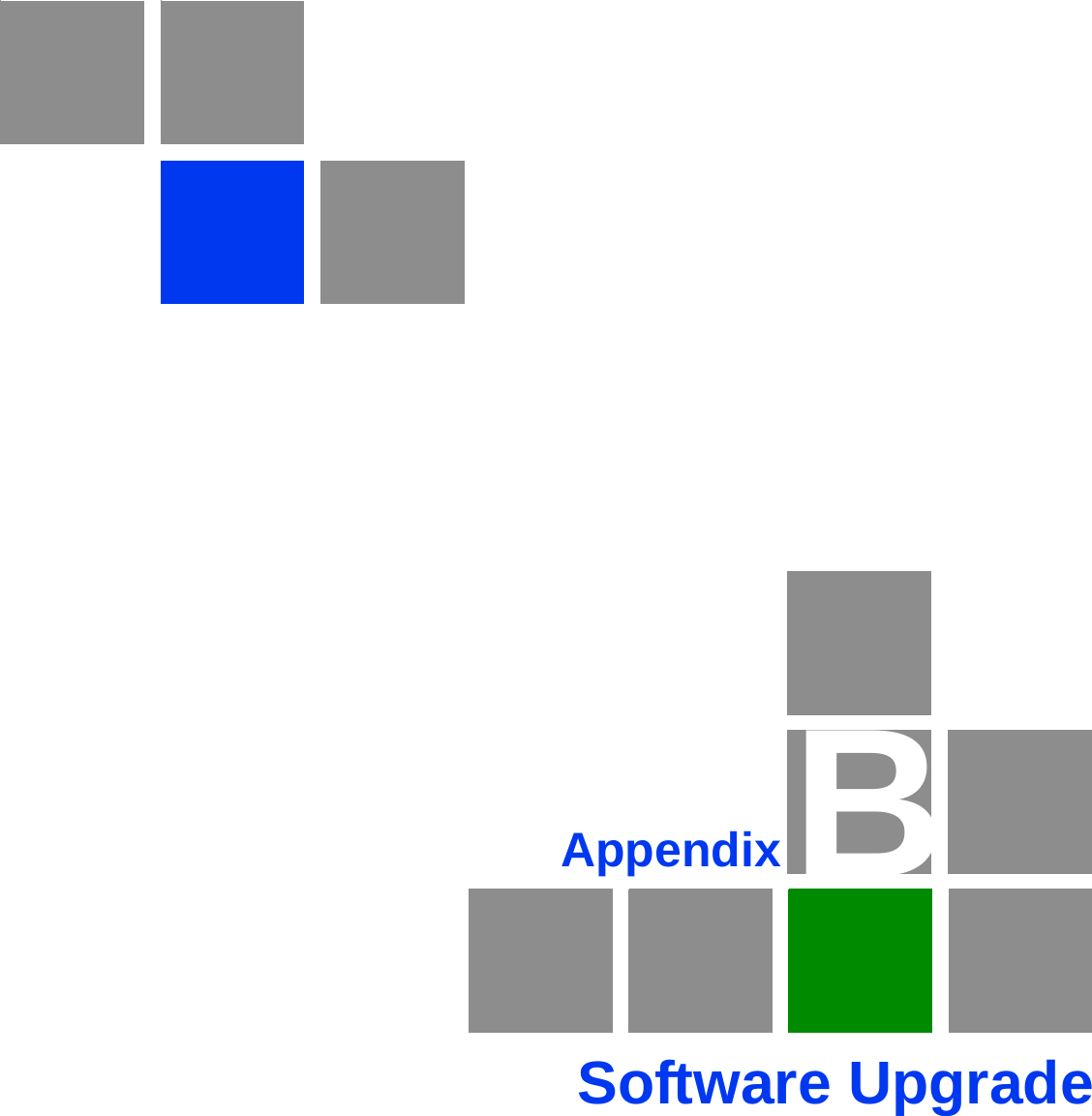 BAppendixSoftware Upgrade