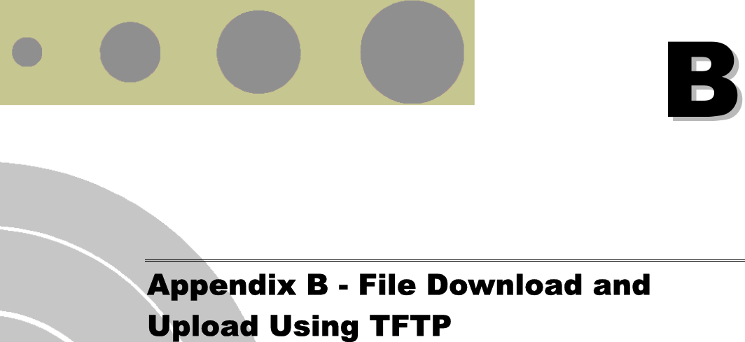   BB    Appendix B - File Download and Upload Using TFTP  