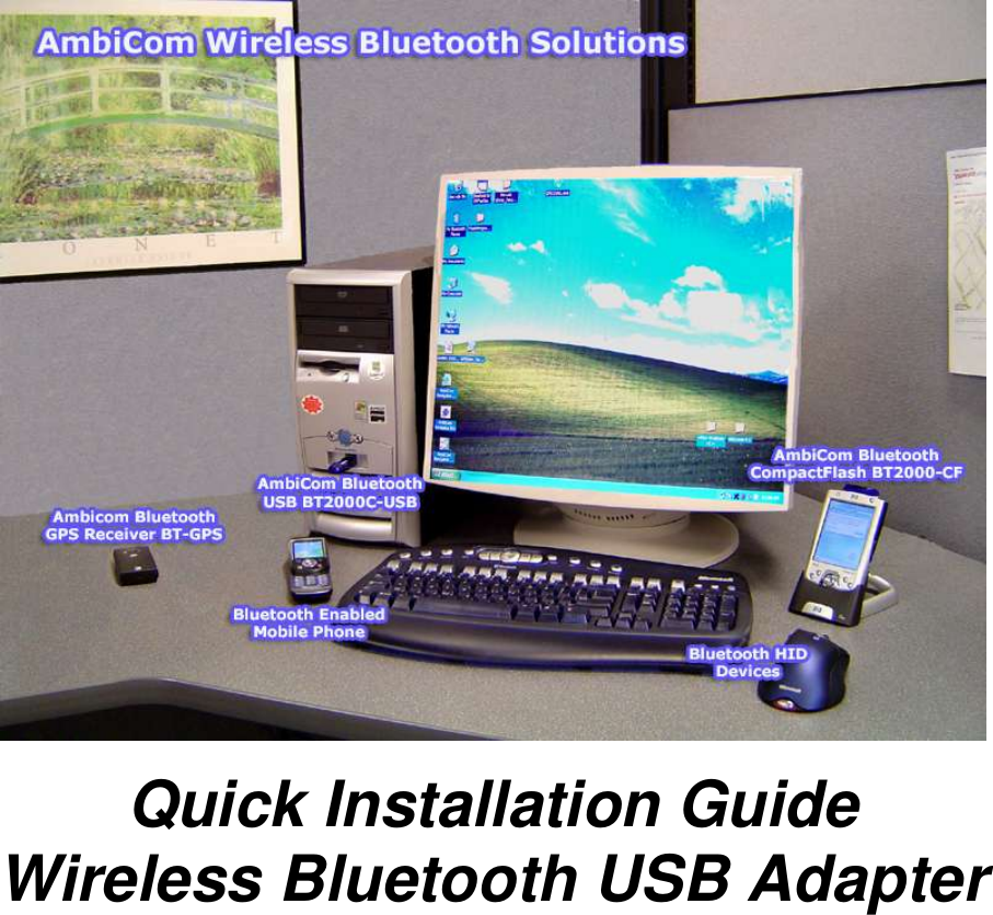          Quick Installation Guide Wireless Bluetooth USB Adapter            