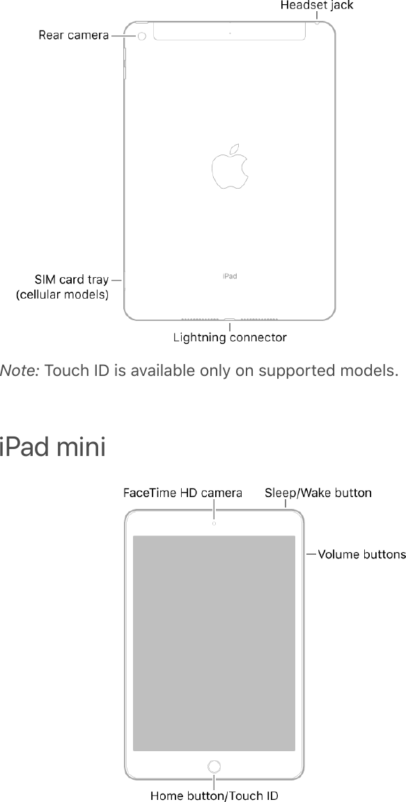 Note: Touch ID is available only on supported models.iPad mini