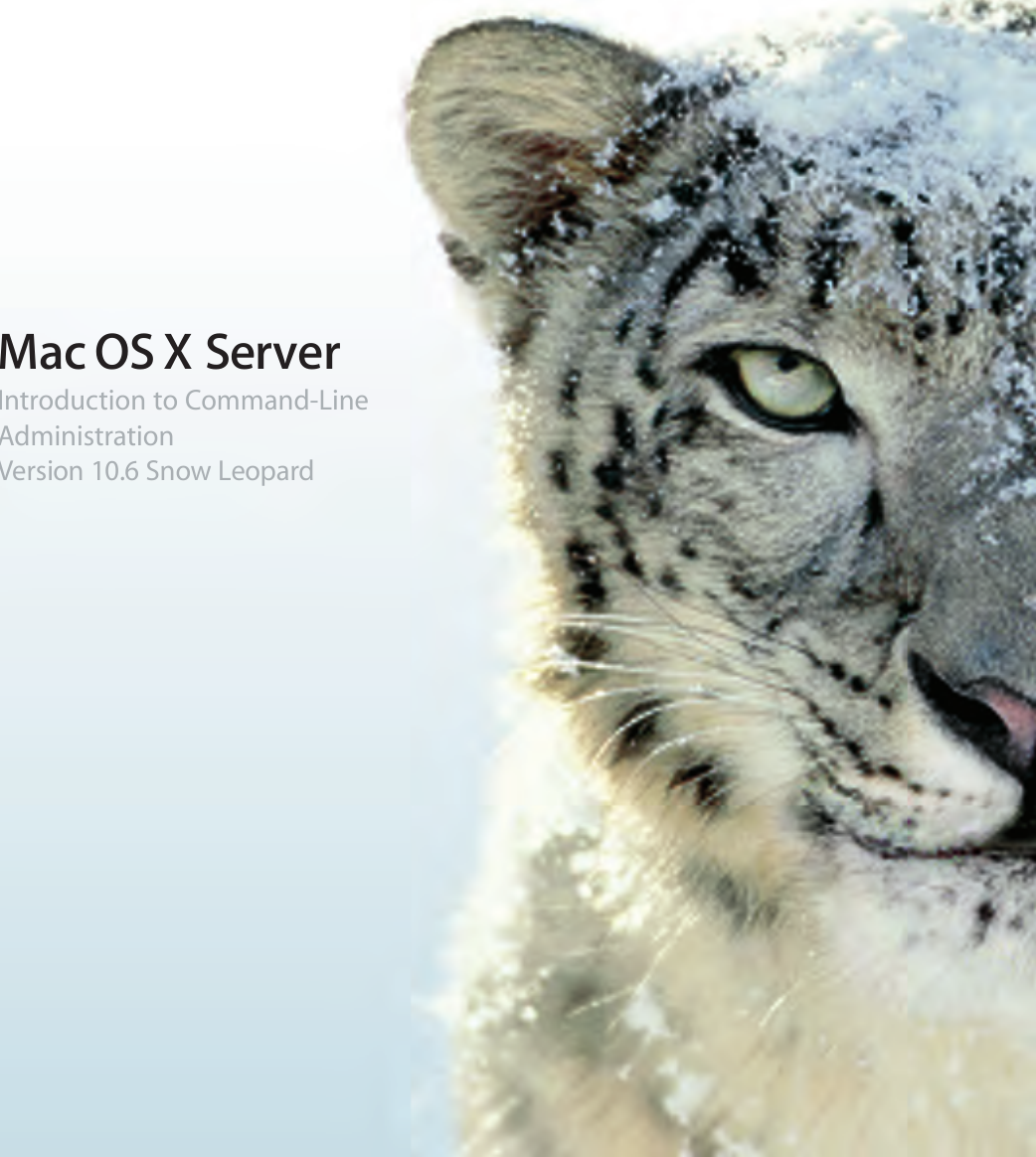 ds emulator mac snow leopard