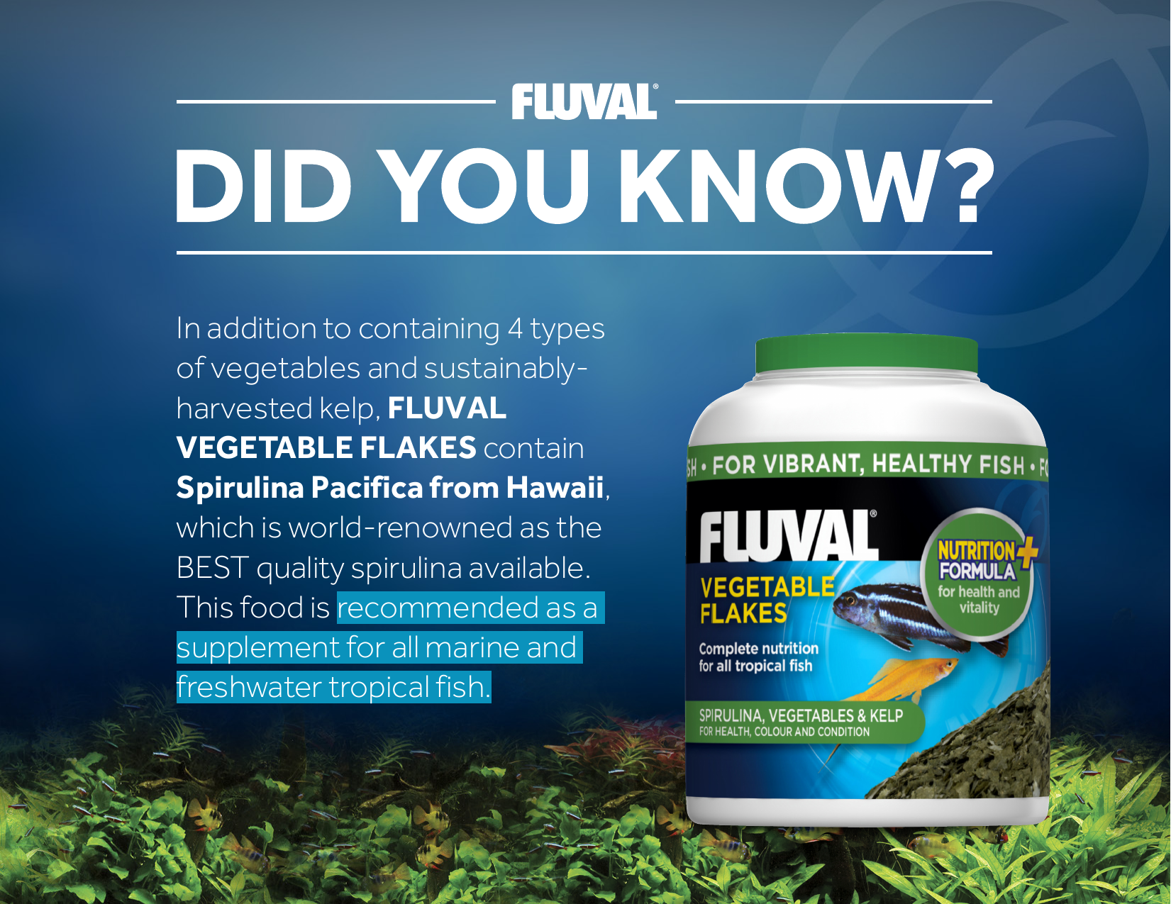 Page 1 of 1 - Fluval-Vegetable-Flakes-Did-you-know