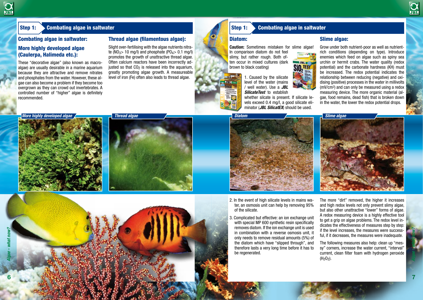 Page 4 of 7 - JBL-Algae