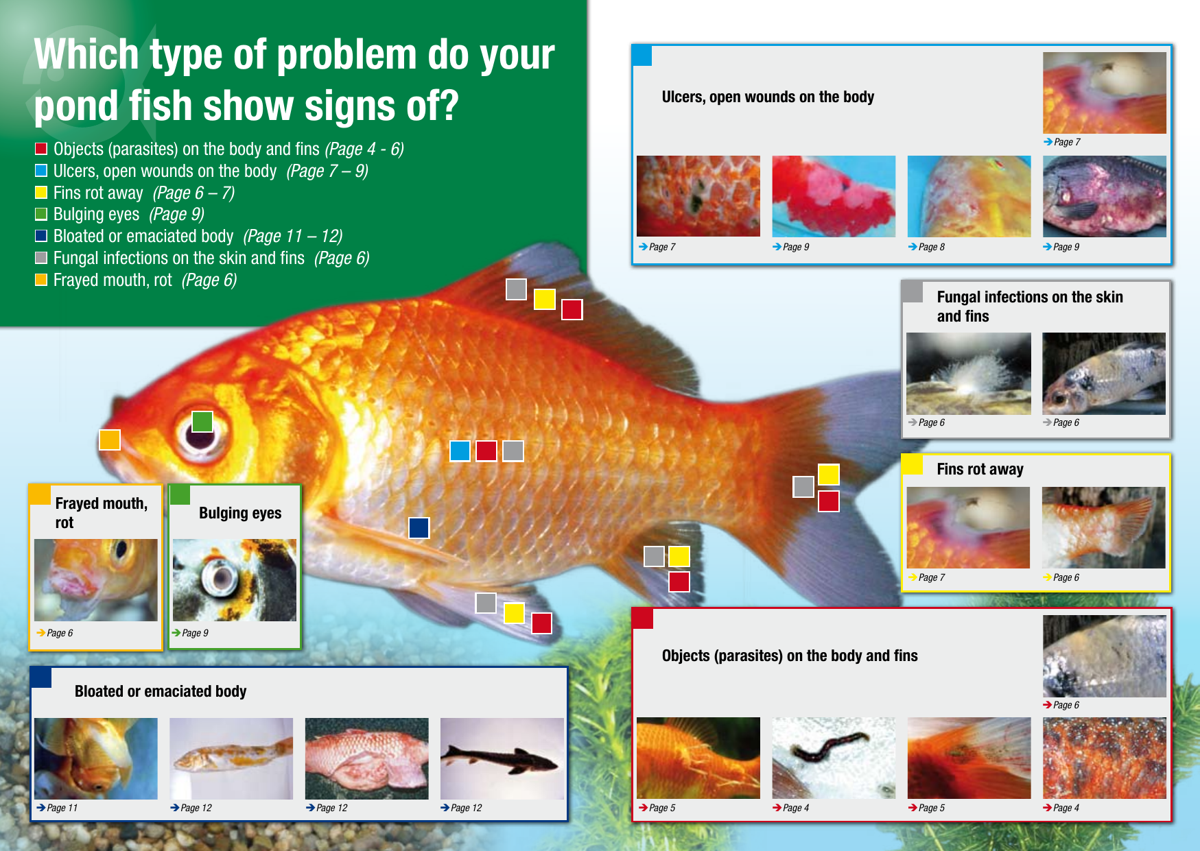 Page 2 of 7 - JBL-Pond-Fish-Diseases