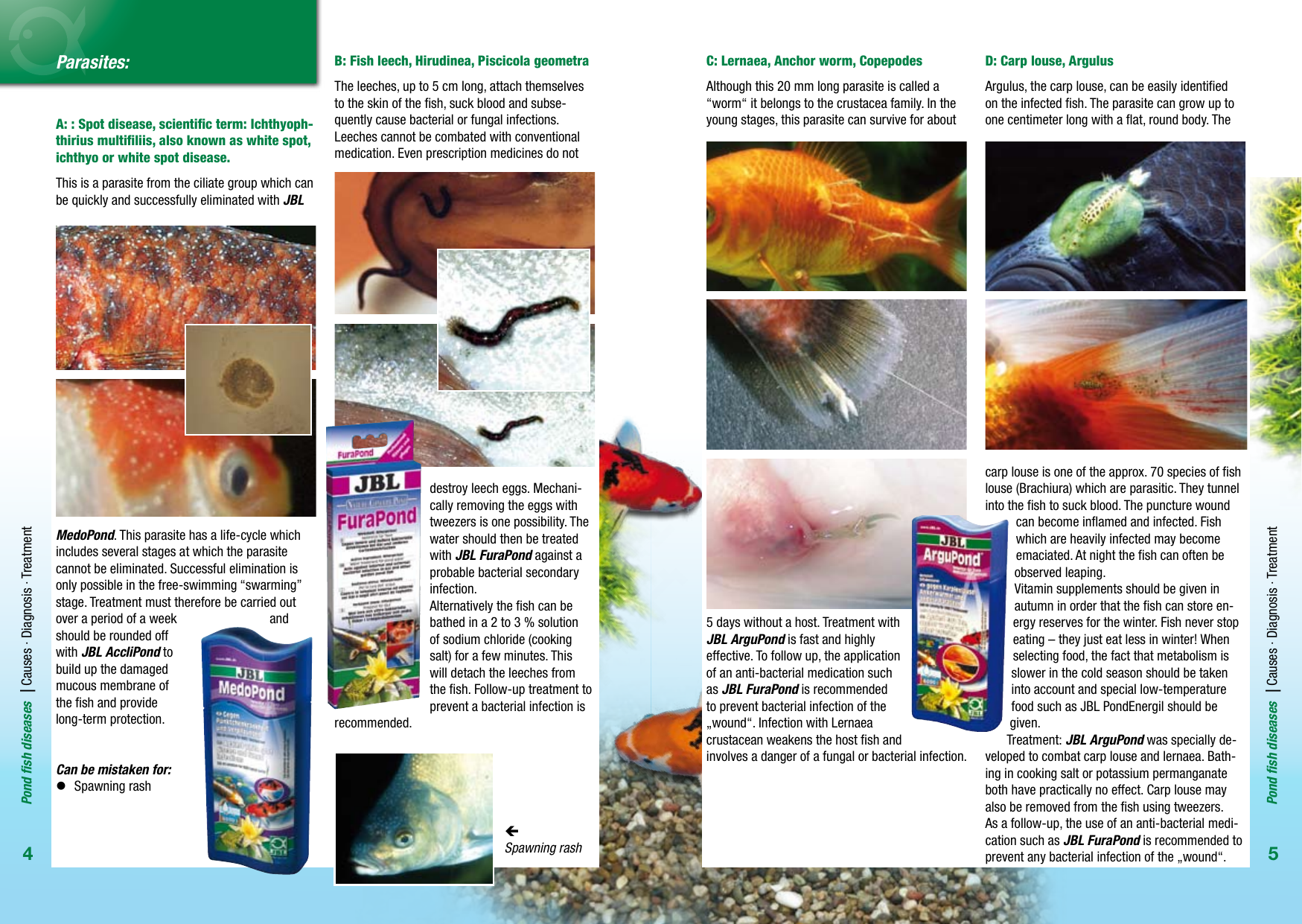 Page 3 of 7 - JBL-Pond-Fish-Diseases