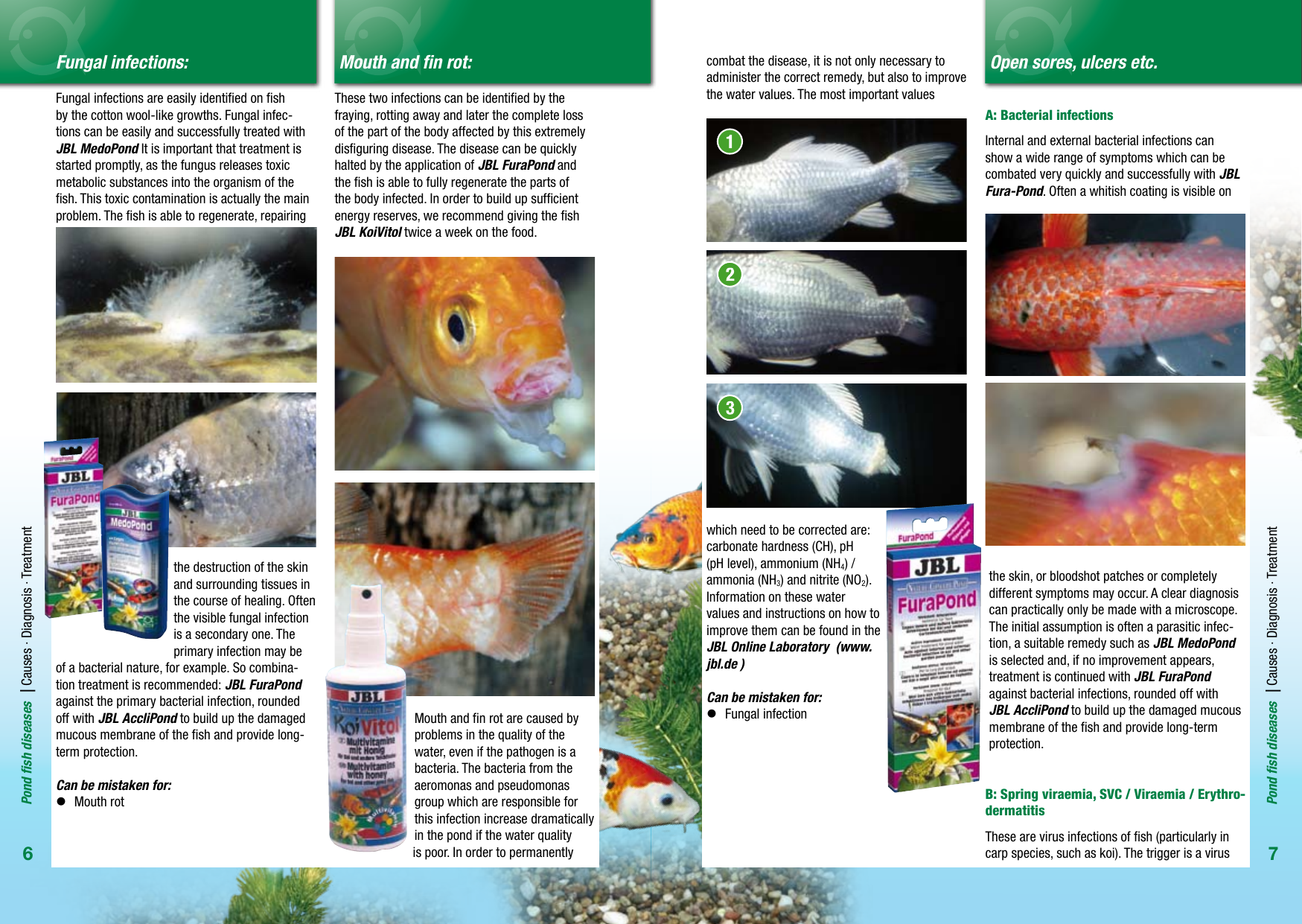 Page 4 of 7 - JBL-Pond-Fish-Diseases