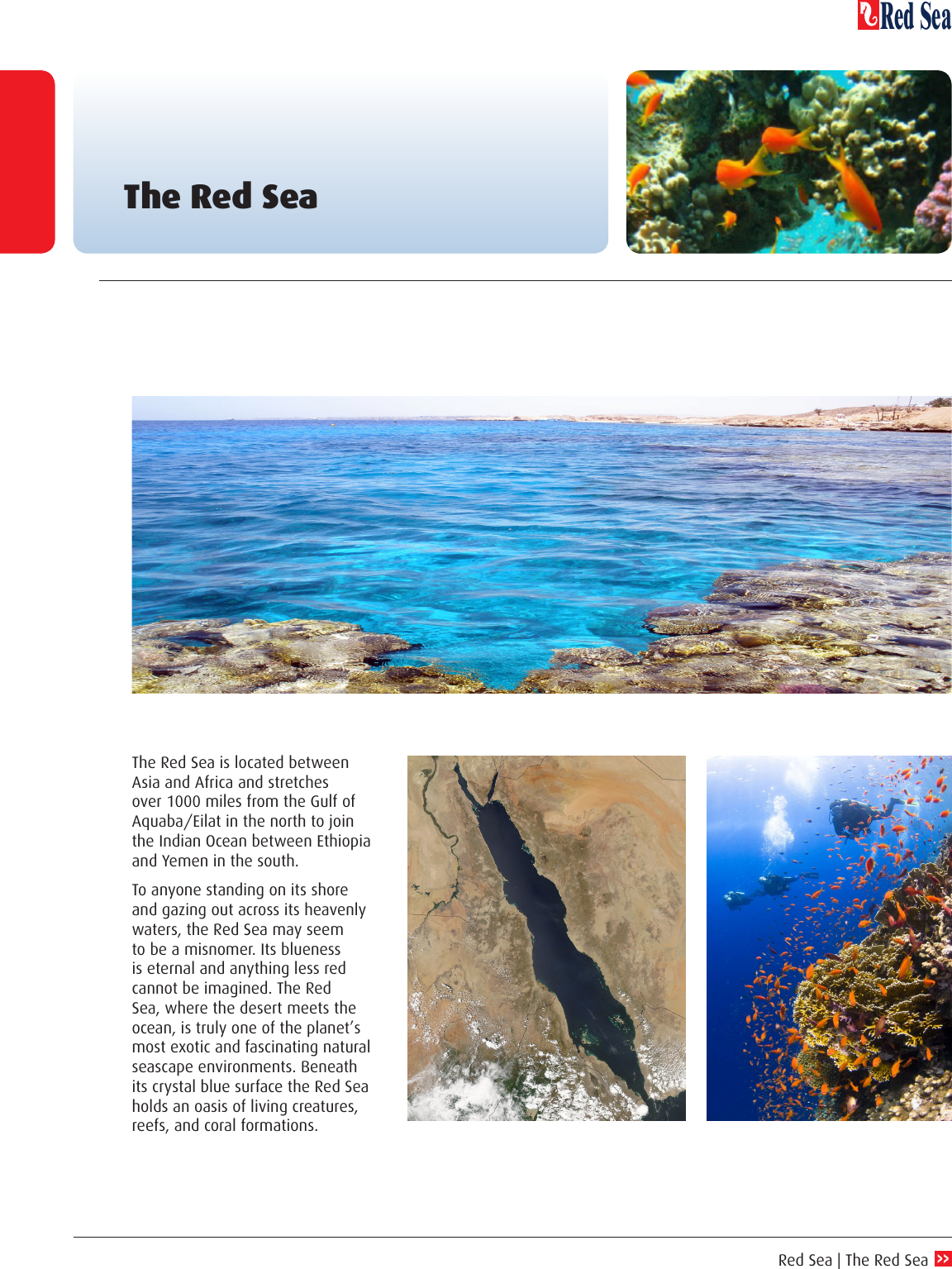 Page 11 of 11 - Red-Sea-Sea-Water-Chemistry