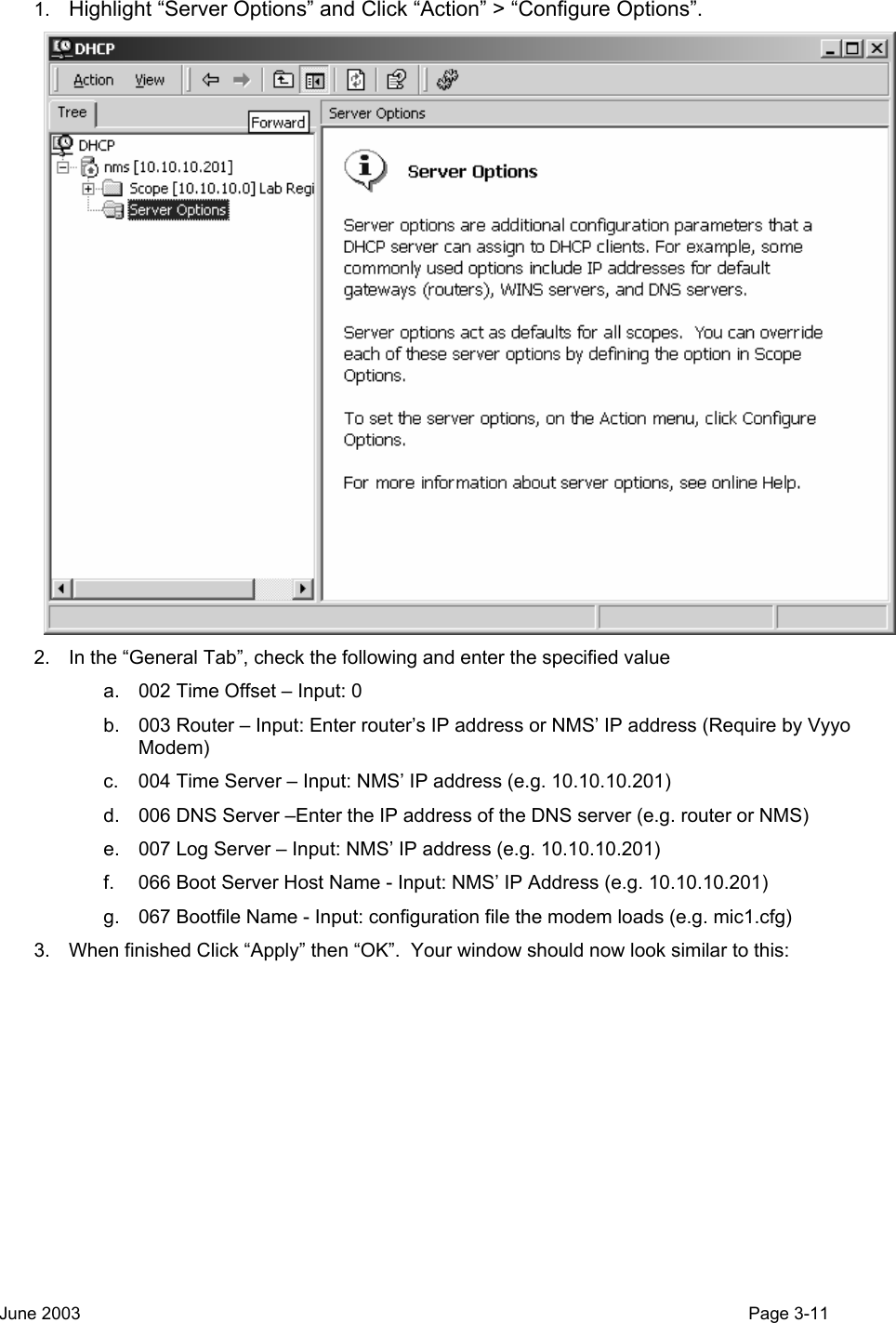  1.  Highlight “Server Options” and Click “Action” &gt; “Configure Options”.  2.  In the “General Tab”, check the following and enter the specified value a.  002 Time Offset – Input: 0 b.  003 Router – Input: Enter router’s IP address or NMS’ IP address (Require by Vyyo Modem)  c.  004 Time Server – Input: NMS’ IP address (e.g. 10.10.10.201) d.  006 DNS Server –Enter the IP address of the DNS server (e.g. router or NMS) e.  007 Log Server – Input: NMS’ IP address (e.g. 10.10.10.201) f.  066 Boot Server Host Name - Input: NMS’ IP Address (e.g. 10.10.10.201) g.  067 Bootfile Name - Input: configuration file the modem loads (e.g. mic1.cfg) 3.  When finished Click “Apply” then “OK”.  Your window should now look similar to this: June 2003                                                                                                                                          Page 3-11  