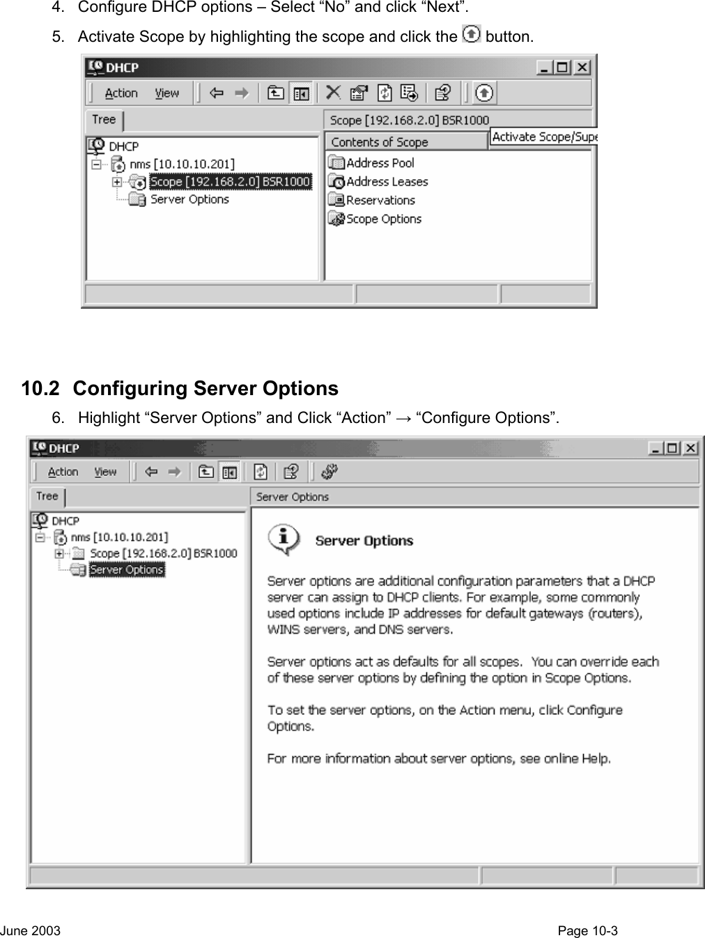    4.  Configure DHCP options – Select “No” and click “Next”. 5.  Activate Scope by highlighting the scope and click the   button.    10.2  Configuring Server Options 6.  Highlight “Server Options” and Click “Action” → “Configure Options”.  June 2003                                                                                                                                         Page 10-3  