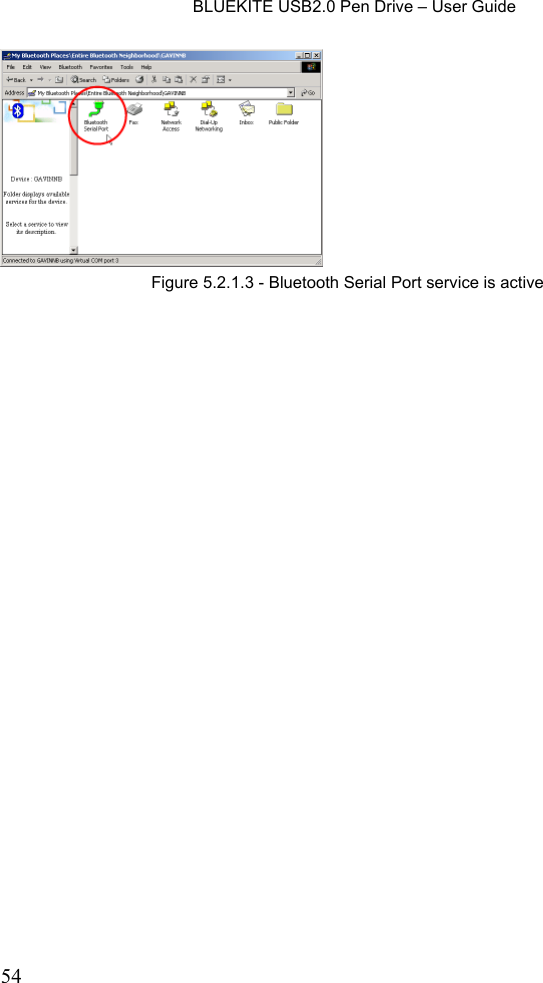    BLUEKITE USB2.0 Pen Drive – User Guide  54   Figure 5.2.1.3 - Bluetooth Serial Port service is active 