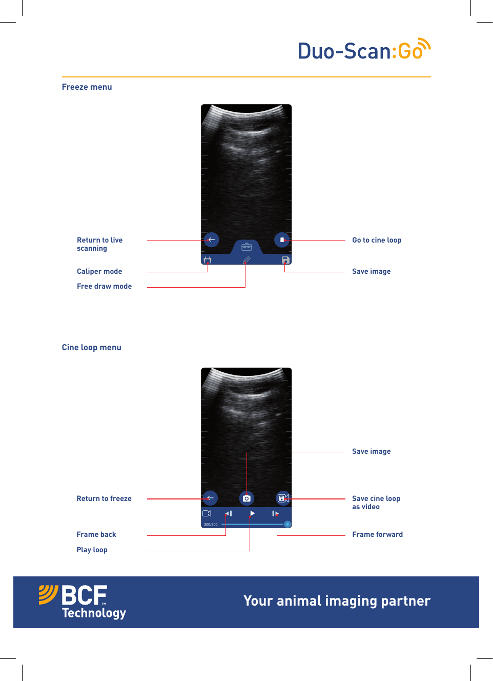Cine loop menuFreeze menuReturn to live scanningGo to cine loopCaliper modeFree draw modeSave imageReturn to freeze Save cine loop as videoSave imageFrame backPlay loopFrame forwardYour animal imaging partner