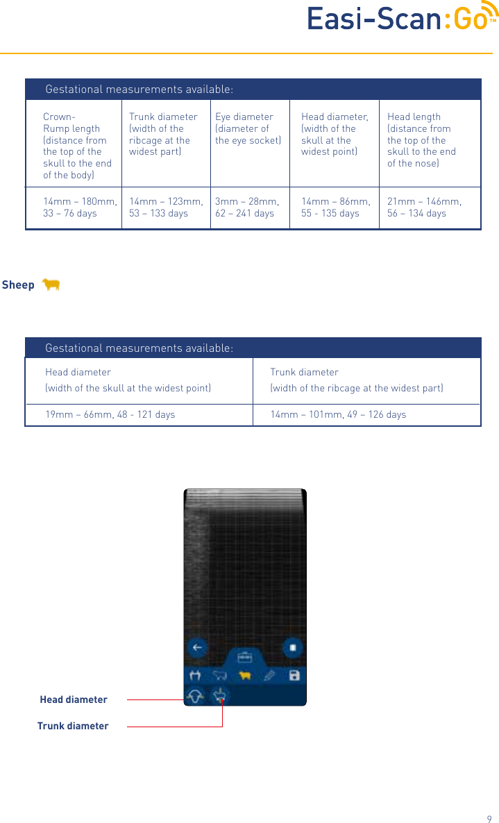 TM9Sheep Head diameterTrunk diameterTrunk diameter(width of the ribcage at the widest part)Head diameter(width of the skull at the widest point)14mm &ndash; 101mm, 49 &ndash; 126 days19mm &ndash; 66mm, 48 - 121 daysGestational measurements available:Trunk diameter (width of the ribcage at the widest part)14mm &ndash; 123mm, 53 &ndash; 133 daysEye diameter (diameter of the eye socket)3mm &ndash; 28mm, 62 &ndash; 241 daysHead diameter, (width of the skull at the widest point)14mm &ndash; 86mm, 55 - 135 daysCrown-Rump length (distance from the top of the skull to the end of the body)14mm &ndash; 180mm, 33 &ndash; 76 daysHead length (distance from the top of the skull to the end of the nose)21mm &ndash; 146mm, 56 &ndash; 134 daysGestational measurements available: