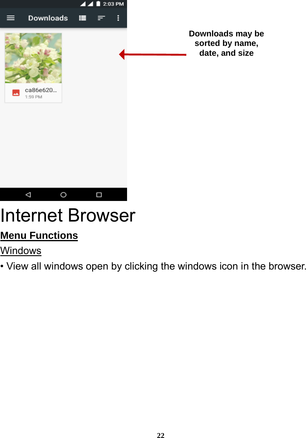  22  Internet Browser Menu Functions                                                     Windows • View all windows open by clicking the windows icon in the browser. Downloads may be sorted by name, date, and size 