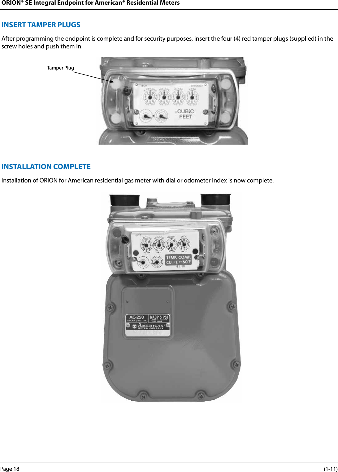 ORION® SE Integral Endpoint for American® Residential MetersINSERT TAMPER PLUGSAfter programming the endpoint is complete and for security purposes, insert the four (4) red tamper plugs (supplied) in the screw holes and push them in.INSTALLATION COMPLETEInstallation of ORION for American residential gas meter with dial or odometer index is now complete.Tamper PlugPage 18 (1-11)