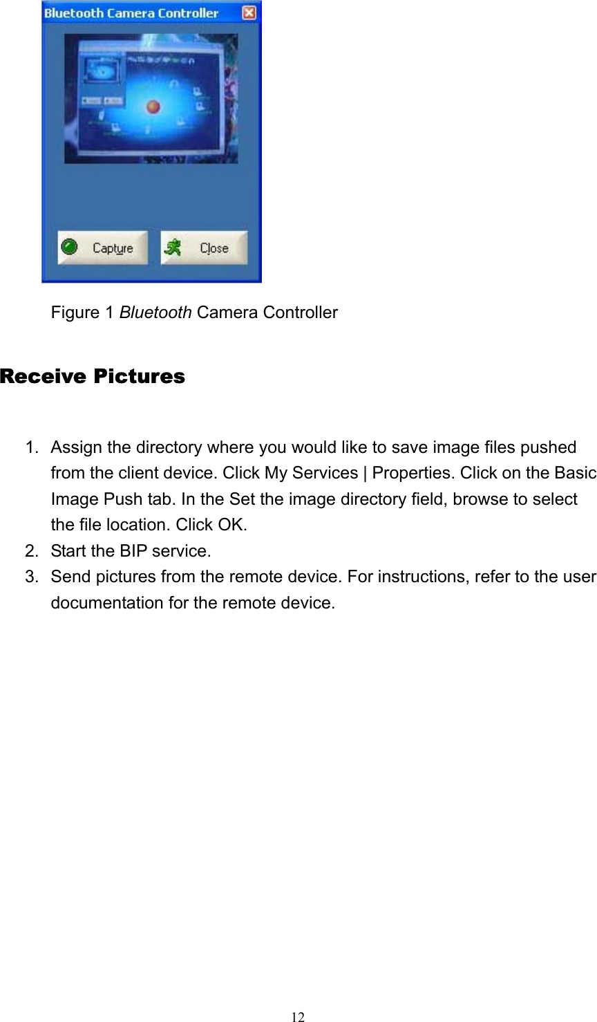   12                     Figure 1 Bluetooth Camera Controller Receive Pictures 1.  Assign the directory where you would like to save image files pushed from the client device. Click My Services | Properties. Click on the Basic Image Push tab. In the Set the image directory field, browse to select the file location. Click OK.   2.  Start the BIP service.   3.  Send pictures from the remote device. For instructions, refer to the user documentation for the remote device.   