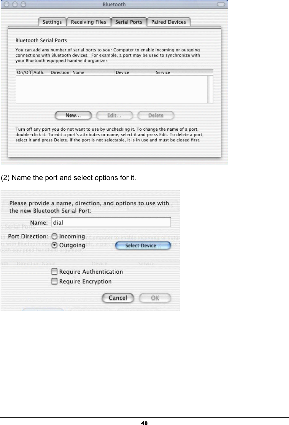  48 (2) Name the port and select options for it.  