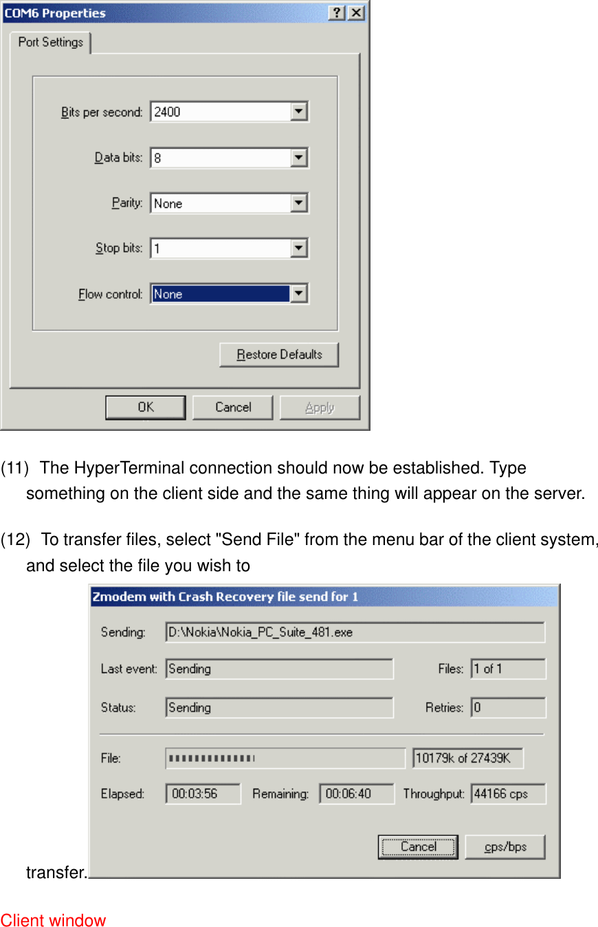  (11)    The HyperTerminal connection should now be established. Type something on the client side and the same thing will appear on the server. (12)    To transfer files, select &quot;Send File&quot; from the menu bar of the client system, and select the file you wish to transfer.   Client window   