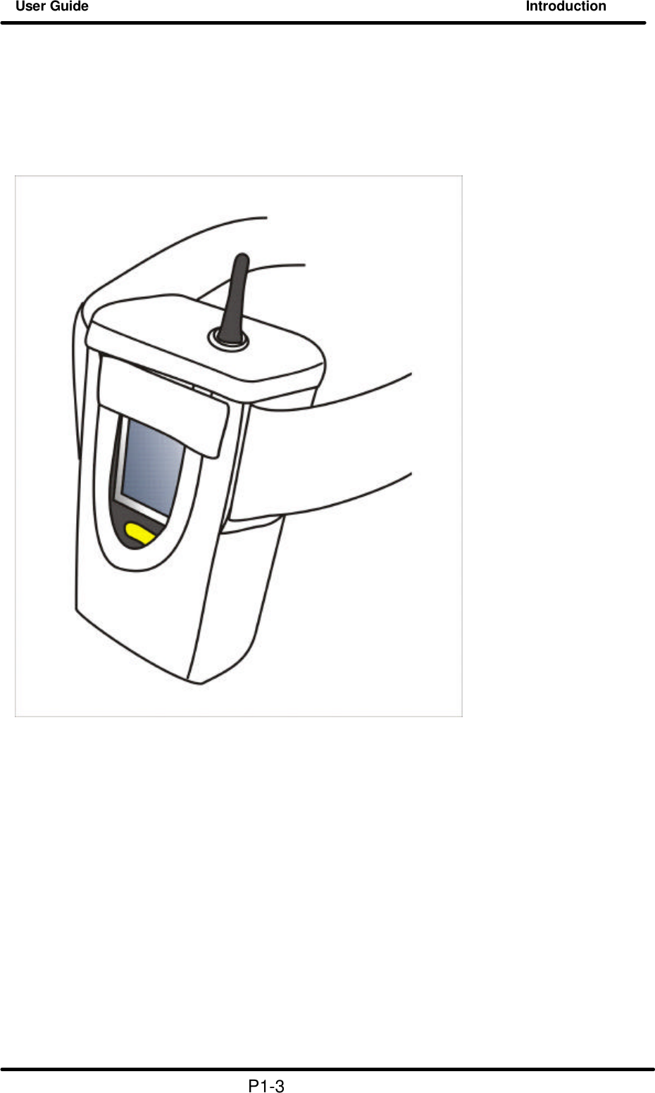 User Guide Introduction                                                             P1-3 