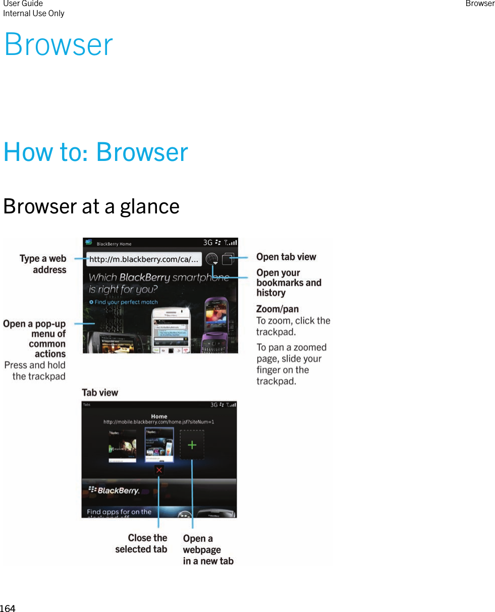 BrowserHow to: BrowserBrowser at a glance  User GuideInternal Use Only Browser164 