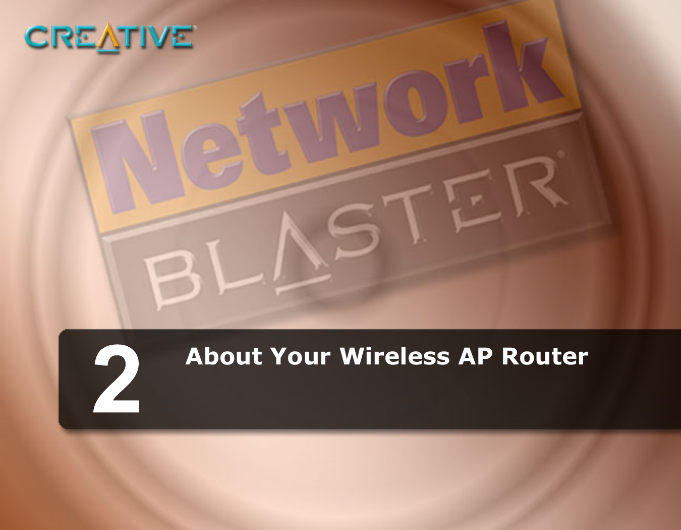 About Your Wireless AP Router