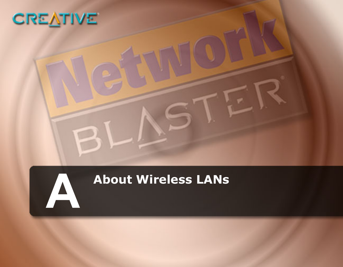 About Wireless LANs