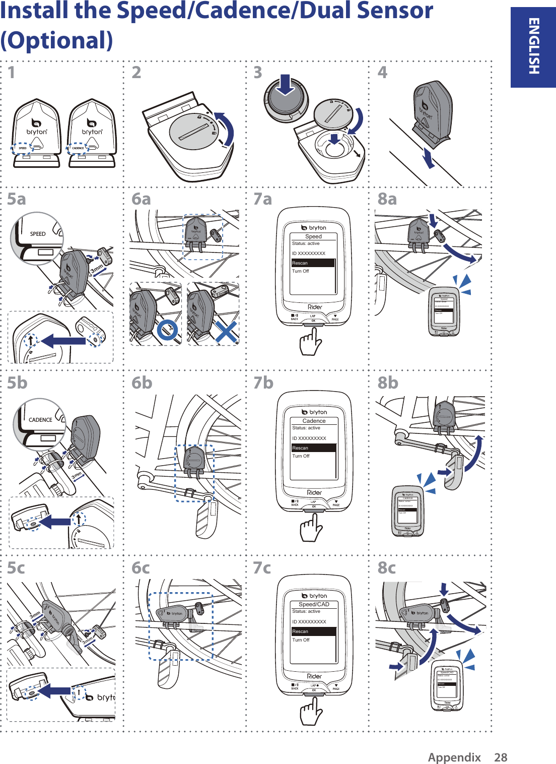 Install the Speed/Cadence/Dual Sensor (Optional)CADENCESPEEDSPEEDSPEED3mmSPEEDSPEEDSPEEDSPEEDSpeedTurn OffStatus: activeID XXXXXXXXXRescanSPEEDSpeedTurn OffStatus: activeID XXXXXXXXXRescanCadenceTurn OffStatus: activeID XXXXXXXXXRescan12345a6a7a8a5b6b7b8bCadenceTurn OffStatus: activeID XXXXXXXXXRescan3mmCADENCE6c 7c 8c5c3mmSpeed/CADTurn OffStatus: activeID XXXXXXXXXRescanSpeed/CADTurn OffStatus: activeID XXXXXXXXXRescanENGLISHAppendix 28