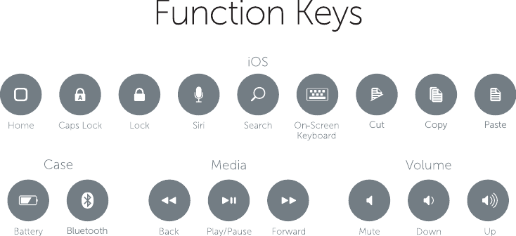 Cut Copy PasteBluetooth