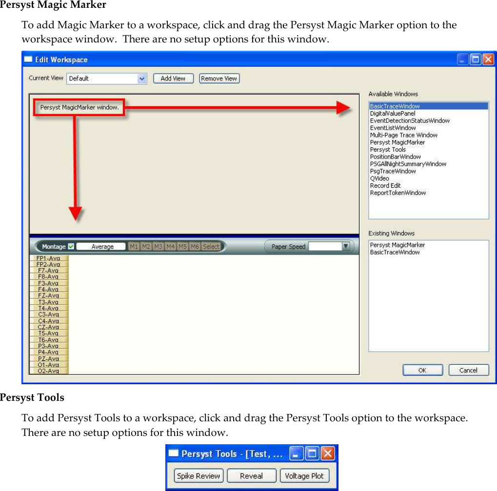  Persyst Magic Marker To add Magic Marker to a workspace, click and drag the Persyst Magic Marker option to the workspace window.  There are no setup options for this window.  Persyst Tools To add Persyst Tools to a workspace, click and drag the Persyst Tools option to the workspace.  There are no setup options for this window.  