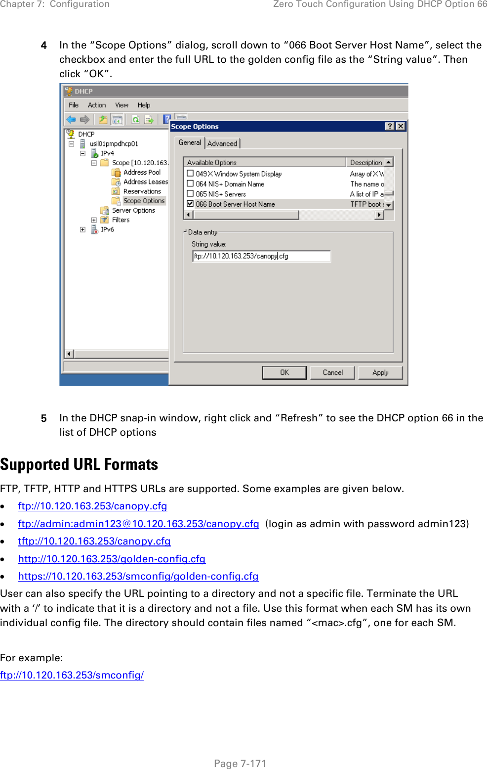 Chapter 7:  Configuration Zero Touch Configuration Using DHCP Option 66   Page 7-171 4 In the “Scope Options” dialog, scroll down to “066 Boot Server Host Name”, select the checkbox and enter the full URL to the golden config file as the “String value”. Then click “OK”.    5 In the DHCP snap-in window, right click and “Refresh” to see the DHCP option 66 in the list of DHCP options Supported URL Formats FTP, TFTP, HTTP and HTTPS URLs are supported. Some examples are given below. • ftp://10.120.163.253/canopy.cfg • ftp://admin:admin123@10.120.163.253/canopy.cfg  (login as admin with password admin123) • tftp://10.120.163.253/canopy.cfg • http://10.120.163.253/golden-config.cfg • https://10.120.163.253/smconfig/golden-config.cfg User can also specify the URL pointing to a directory and not a specific file. Terminate the URL with a ‘/’ to indicate that it is a directory and not a file. Use this format when each SM has its own individual config file. The directory should contain files named “&lt;mac&gt;.cfg”, one for each SM.  For example:  ftp://10.120.163.253/smconfig/  