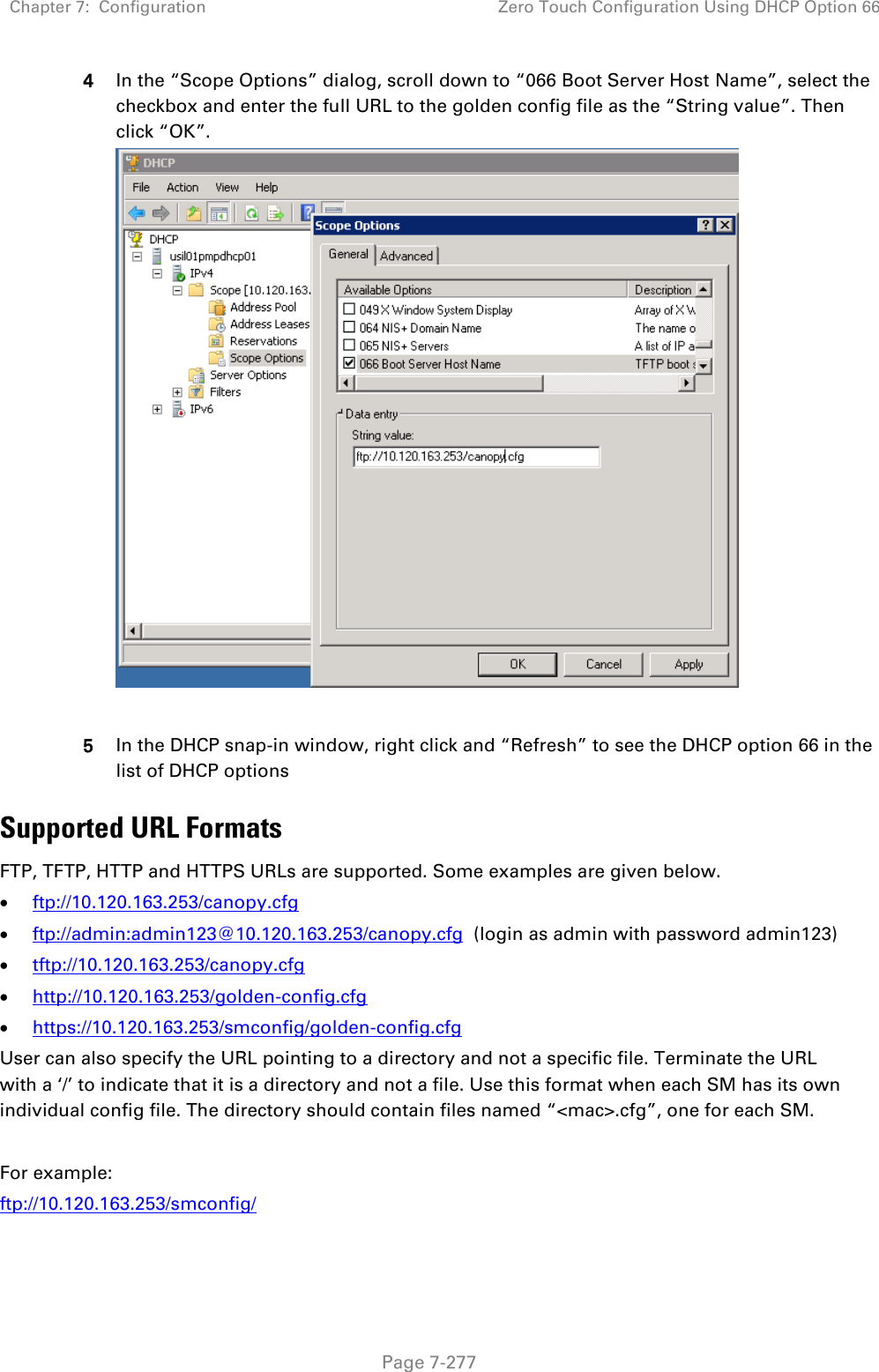 Chapter 7:  Configuration Zero Touch Configuration Using DHCP Option 66   Page 7-277 4 In the “Scope Options” dialog, scroll down to “066 Boot Server Host Name”, select the checkbox and enter the full URL to the golden config file as the “String value”. Then click “OK”.    5 In the DHCP snap-in window, right click and “Refresh” to see the DHCP option 66 in the list of DHCP options Supported URL Formats FTP, TFTP, HTTP and HTTPS URLs are supported. Some examples are given below.  ftp://10.120.163.253/canopy.cfg  ftp://admin:admin123@10.120.163.253/canopy.cfg  (login as admin with password admin123)  tftp://10.120.163.253/canopy.cfg  http://10.120.163.253/golden-config.cfg  https://10.120.163.253/smconfig/golden-config.cfg User can also specify the URL pointing to a directory and not a specific file. Terminate the URL with a ‘/’ to indicate that it is a directory and not a file. Use this format when each SM has its own individual config file. The directory should contain files named “&lt;mac&gt;.cfg”, one for each SM.  For example:  ftp://10.120.163.253/smconfig/  