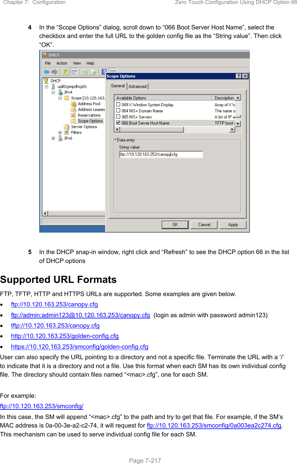 Chapter 7:  Configuration  Zero Touch Configuration Using DHCP Option 66   Page 7-217 4  In the “Scope Options” dialog, scroll down to “066 Boot Server Host Name”, select the checkbox and enter the full URL to the golden config file as the “String value”. Then click “OK”.    5  In the DHCP snap-in window, right click and “Refresh” to see the DHCP option 66 in the list of DHCP options Supported URL Formats FTP, TFTP, HTTP and HTTPS URLs are supported. Some examples are given below.  ftp://10.120.163.253/canopy.cfg  ftp://admin:admin123@10.120.163.253/canopy.cfg  (login as admin with password admin123)  tftp://10.120.163.253/canopy.cfg  http://10.120.163.253/golden-config.cfg  https://10.120.163.253/smconfig/golden-config.cfg User can also specify the URL pointing to a directory and not a specific file. Terminate the URL with a ‘/’ to indicate that it is a directory and not a file. Use this format when each SM has its own individual config file. The directory should contain files named “&lt;mac&gt;.cfg”, one for each SM.  For example:  ftp://10.120.163.253/smconfig/  In this case, the SM will append “&lt;mac&gt;.cfg” to the path and try to get that file. For example, if the SM’s MAC address is 0a-00-3e-a2-c2-74, it will request for ftp://10.120.163.253/smconfig/0a003ea2c274.cfg. This mechanism can be used to serve individual config file for each SM. 