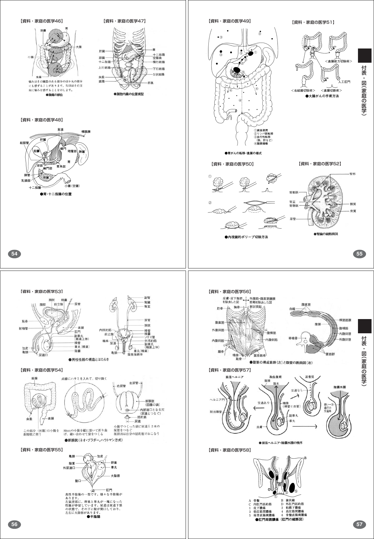 Page 6 of 9 - Casio .......... File 2 XDW6400huhyou 02