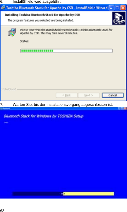 6.  InstallShield wird ausgeführt.   7.  Warten Sie, bis der Installationsvorgang abgeschlossen ist.    63  
