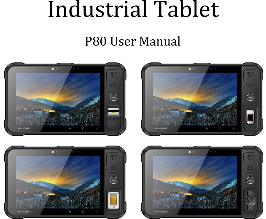   Industrial Tablet P80 User Manual    
