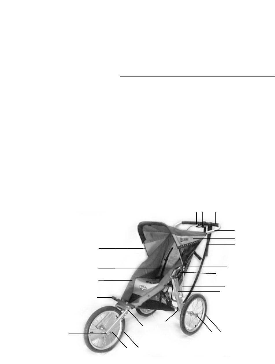 chariot cavalier stroller