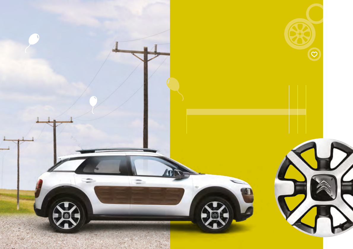 c4 cactus accessories