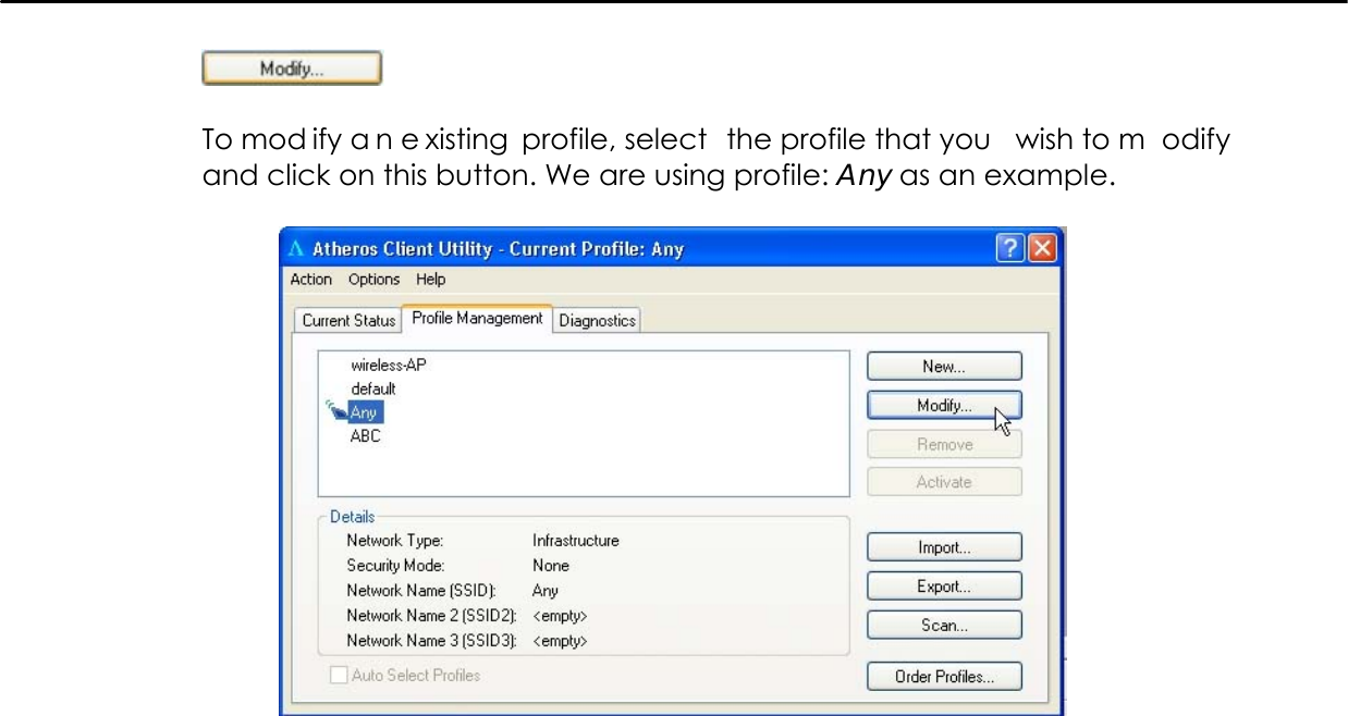     To mod ify a n e xisting profile, select  the profile that you  wish to m odify and click on this button. We are using profile: Any as an example.            