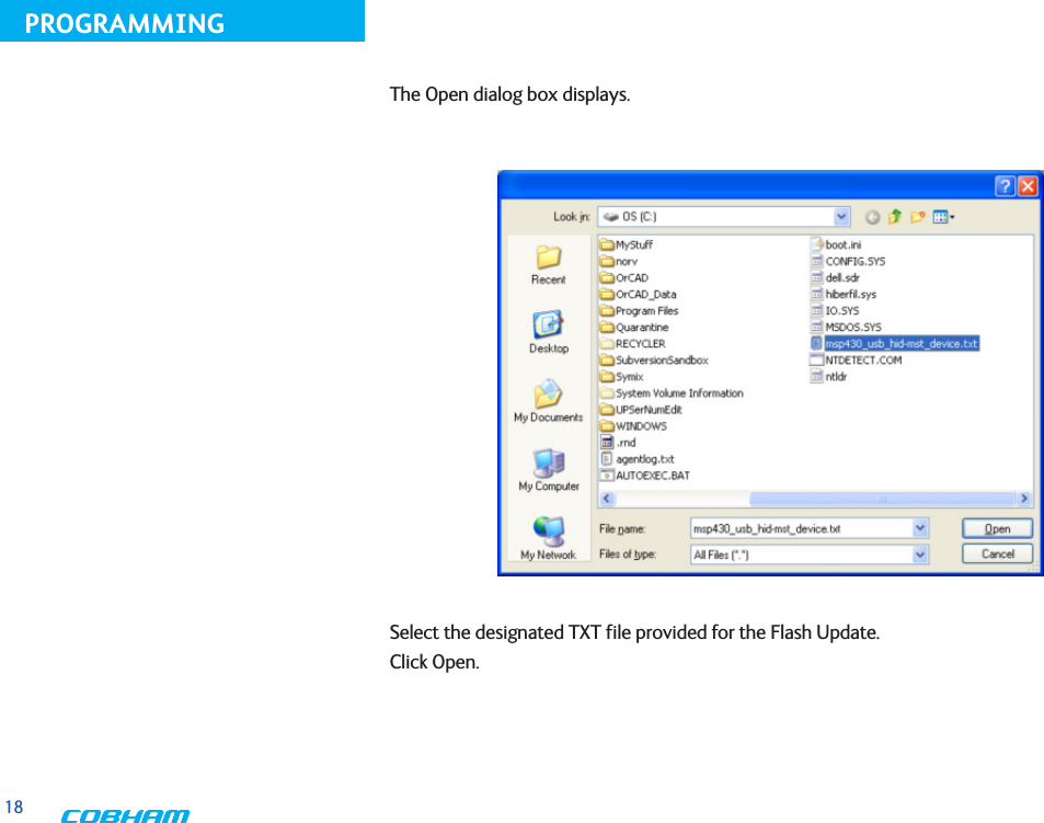 18PROGRAMMINGThe Open dialog box displays.Select the designated TXT file provided for the Flash Update.Click Open.