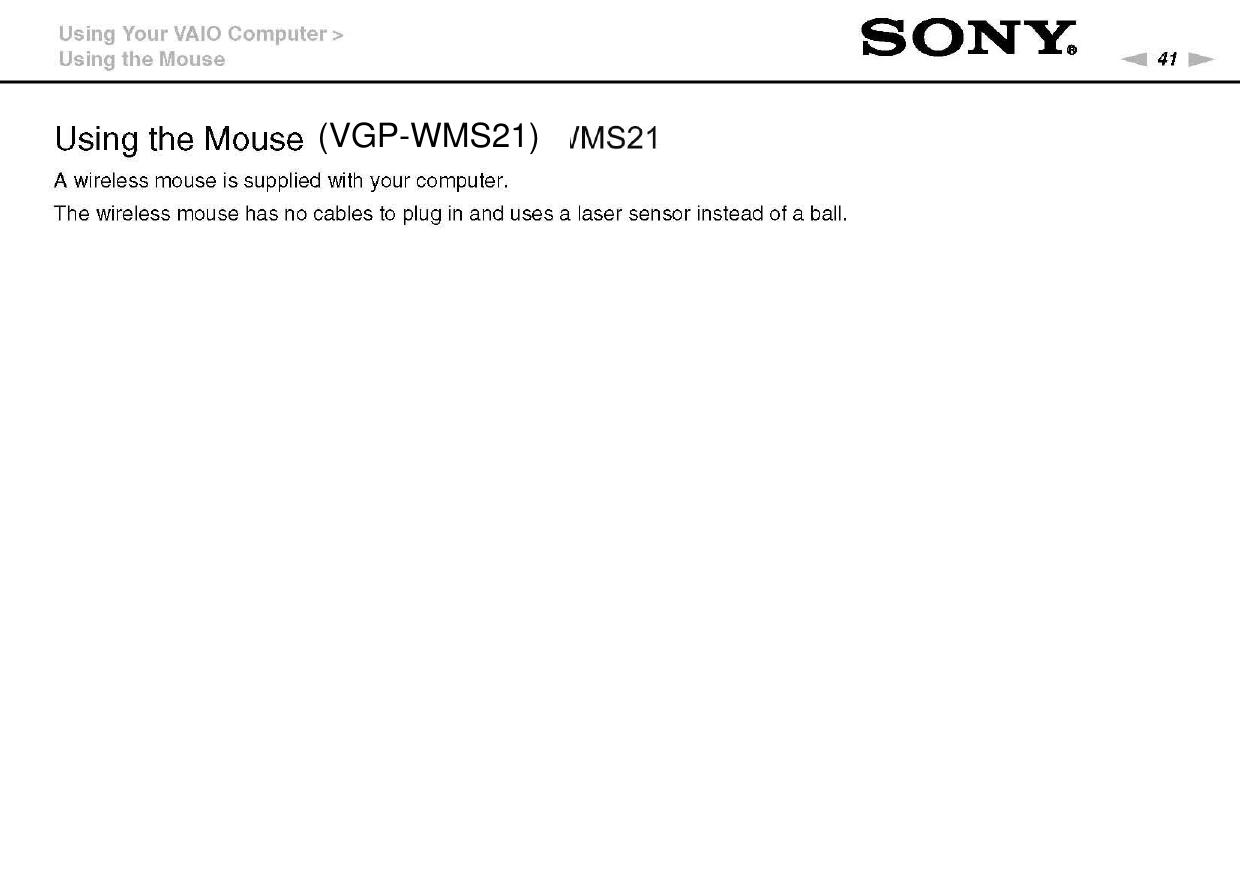 (VGP-WMS21)
