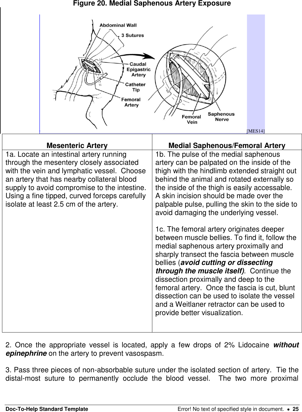 Doc-To-Help Standard Template  Error! No text of specified style in document.    25 Figure 20. Medial Saphenous Artery Exposure [MES14] Mesenteric Artery Medial Saphenous/Femoral Artery 1a. Locate an intestinal artery running through the mesentery closely associated with the vein and lymphatic vessel.  Choose an artery that has nearby collateral blood supply to avoid compromise to the intestine.  Using a fine tipped, curved forceps carefully isolate at least 2.5 cm of the artery.    1b. The pulse of the medial saphenous artery can be palpated on the inside of the thigh with the hindlimb extended straight out behind the animal and rotated externally so the inside of the thigh is easily accessable.  A skin incision should be made over the palpable pulse, pulling the skin to the side to avoid damaging the underlying vessel.   1c. The femoral artery originates deeper between muscle bellies. To find it, follow the medial saphenous artery proximally and sharply transect the fascia between muscle bellies (avoid cutting or dissecting through the muscle itself).  Continue the dissection proximally and deep to the femoral artery.  Once the fascia is cut, blunt dissection can be used to isolate the vessel and a Weitlaner retractor can be used to provide better visualization.      2. Once  the  appropriate  vessel  is  located,  apply  a  few  drops  of  2%  Lidocaine  without epinephrine on the artery to prevent vasospasm.    3. Pass three pieces of non-absorbable suture under the isolated section of artery.  Tie the distal-most  suture  to  permanently  occlude  the  blood  vessel.    The  two  more  proximal 