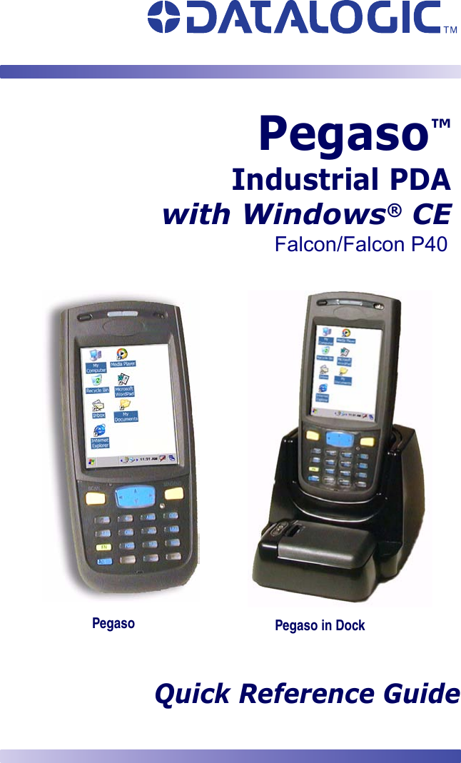 Quick Reference GuidePegaso™Industrial PDAwith Windows® CEPegaso Pegaso in DockFalcon/Falcon P40